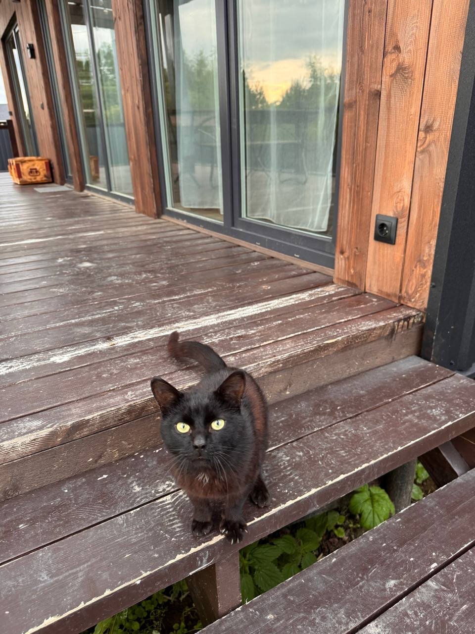 Фото 4 Сезона