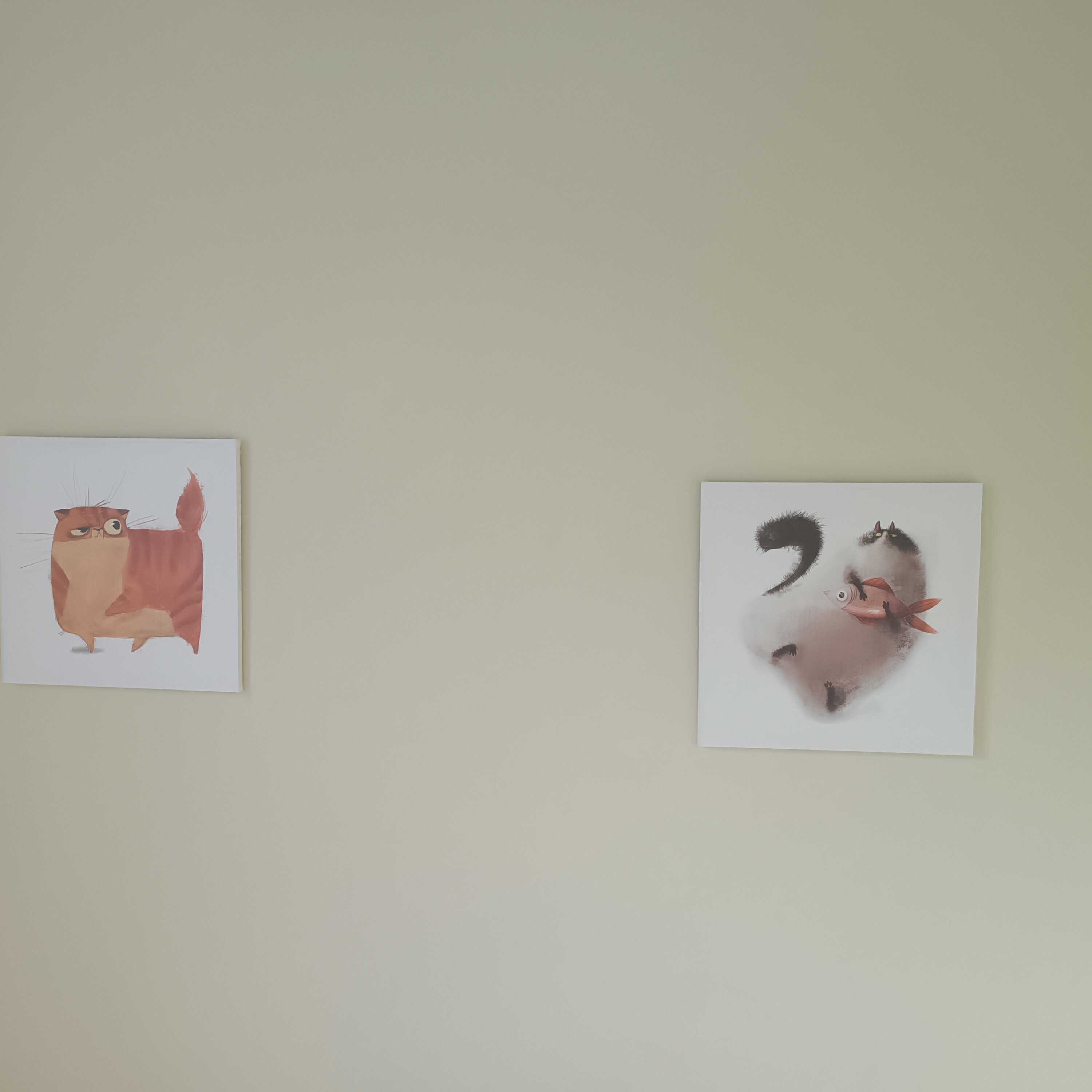 Фото Миранда