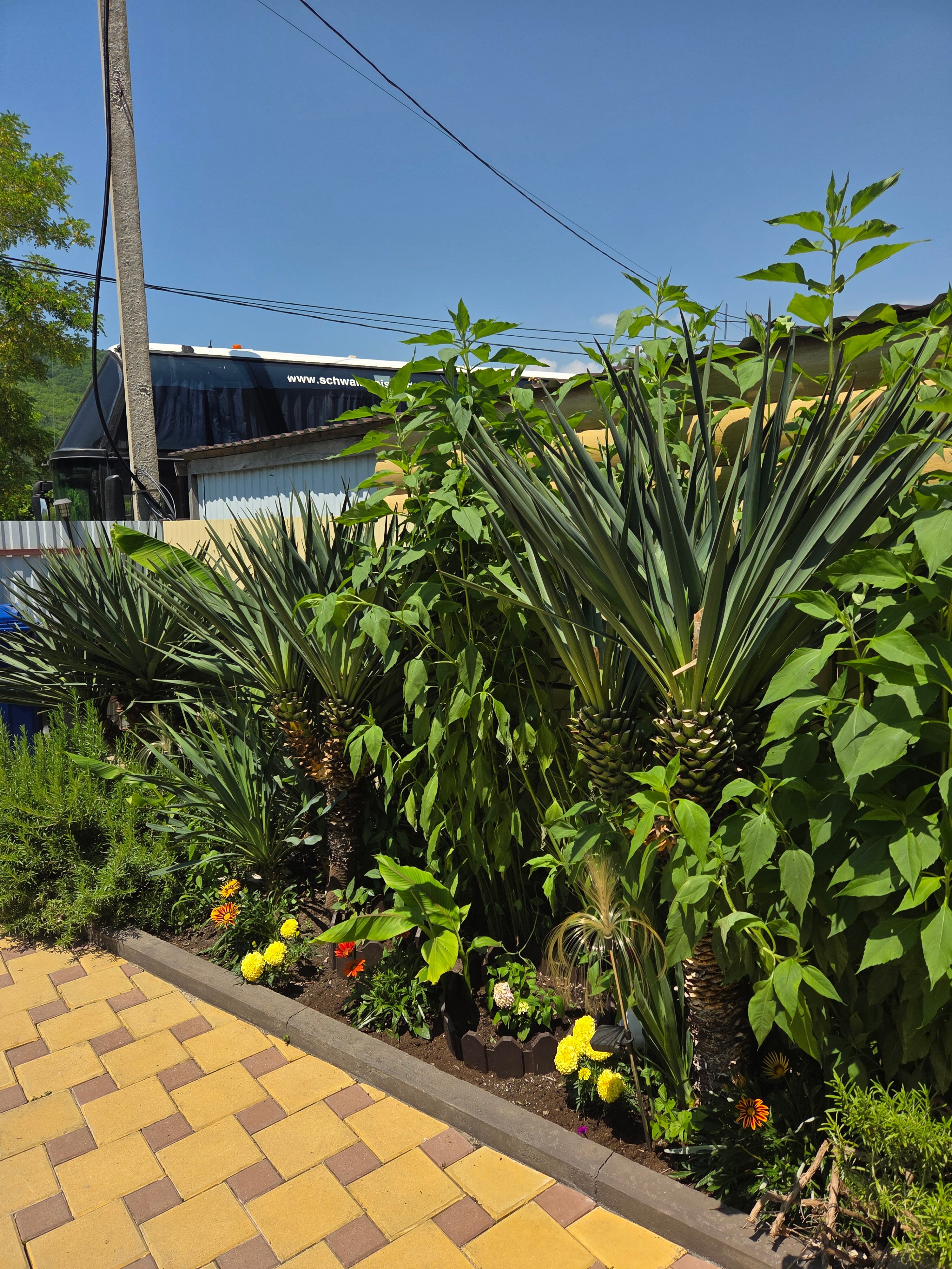 Фото Барселона