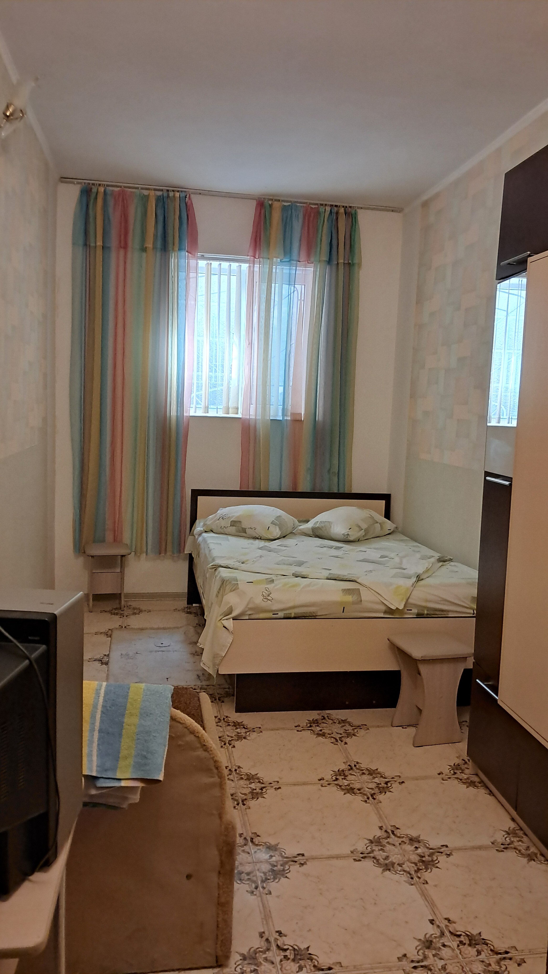 Фото Сосна и Пальмы