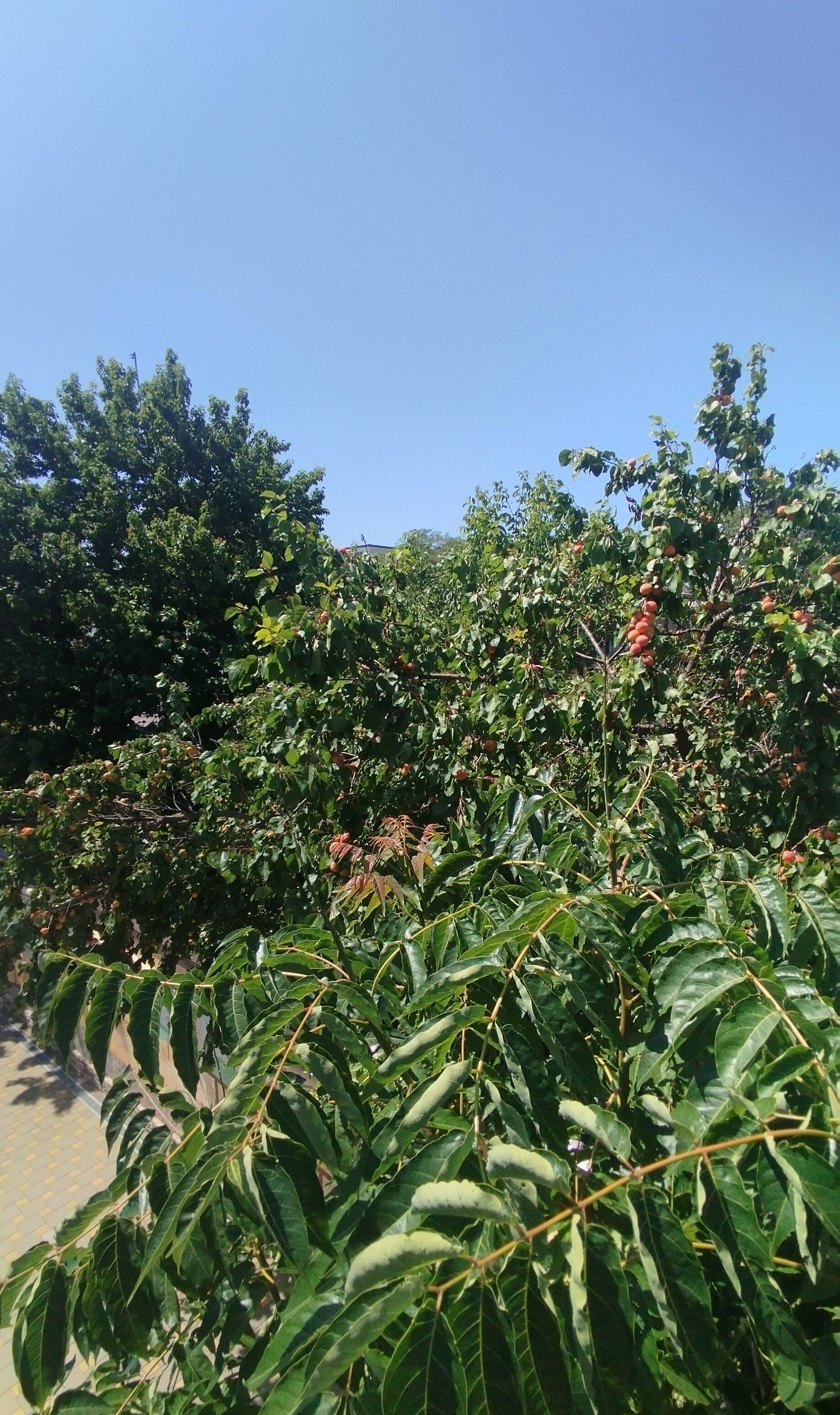 Фото Анапское взморье