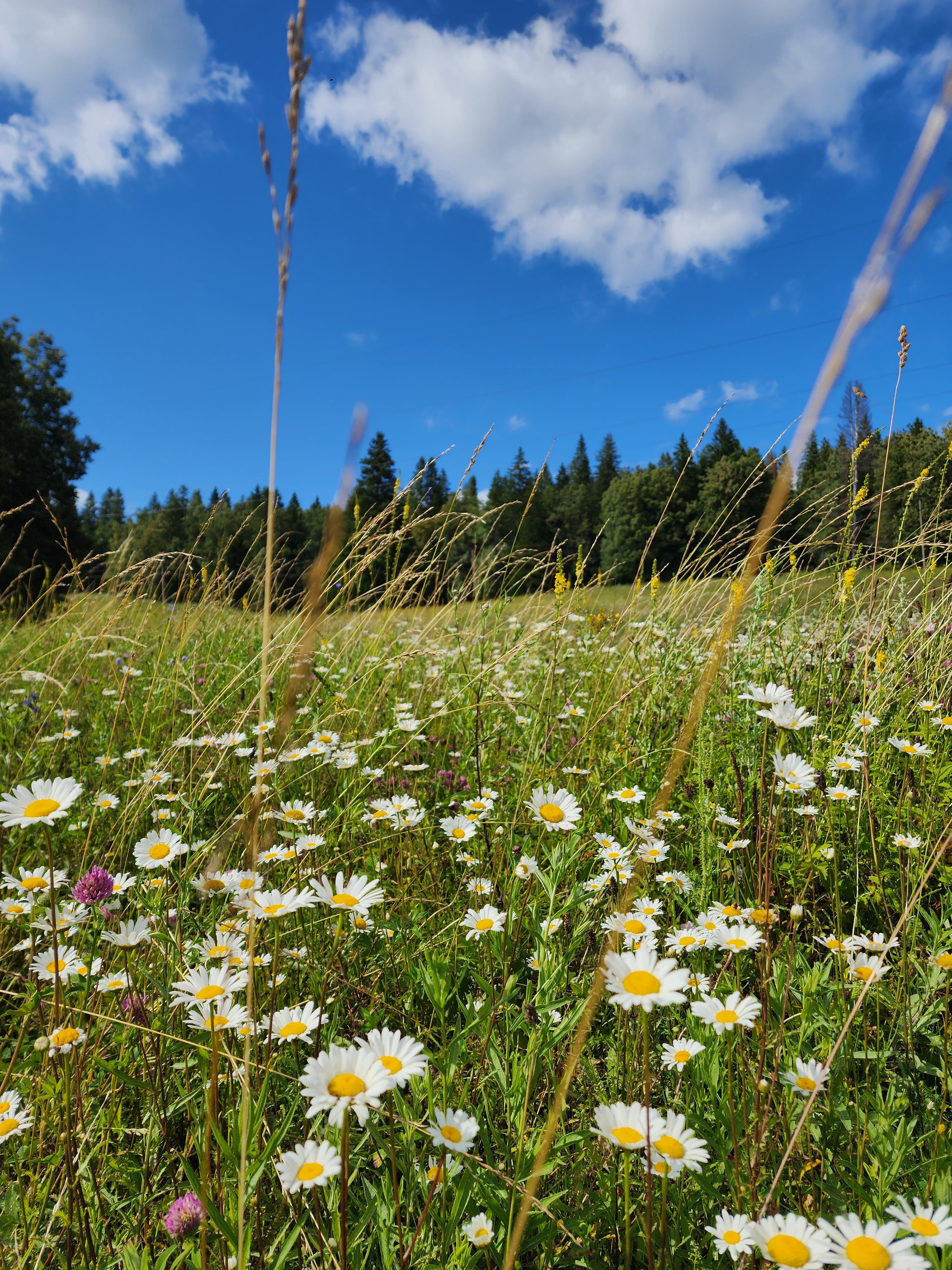Фото Красный Ключ