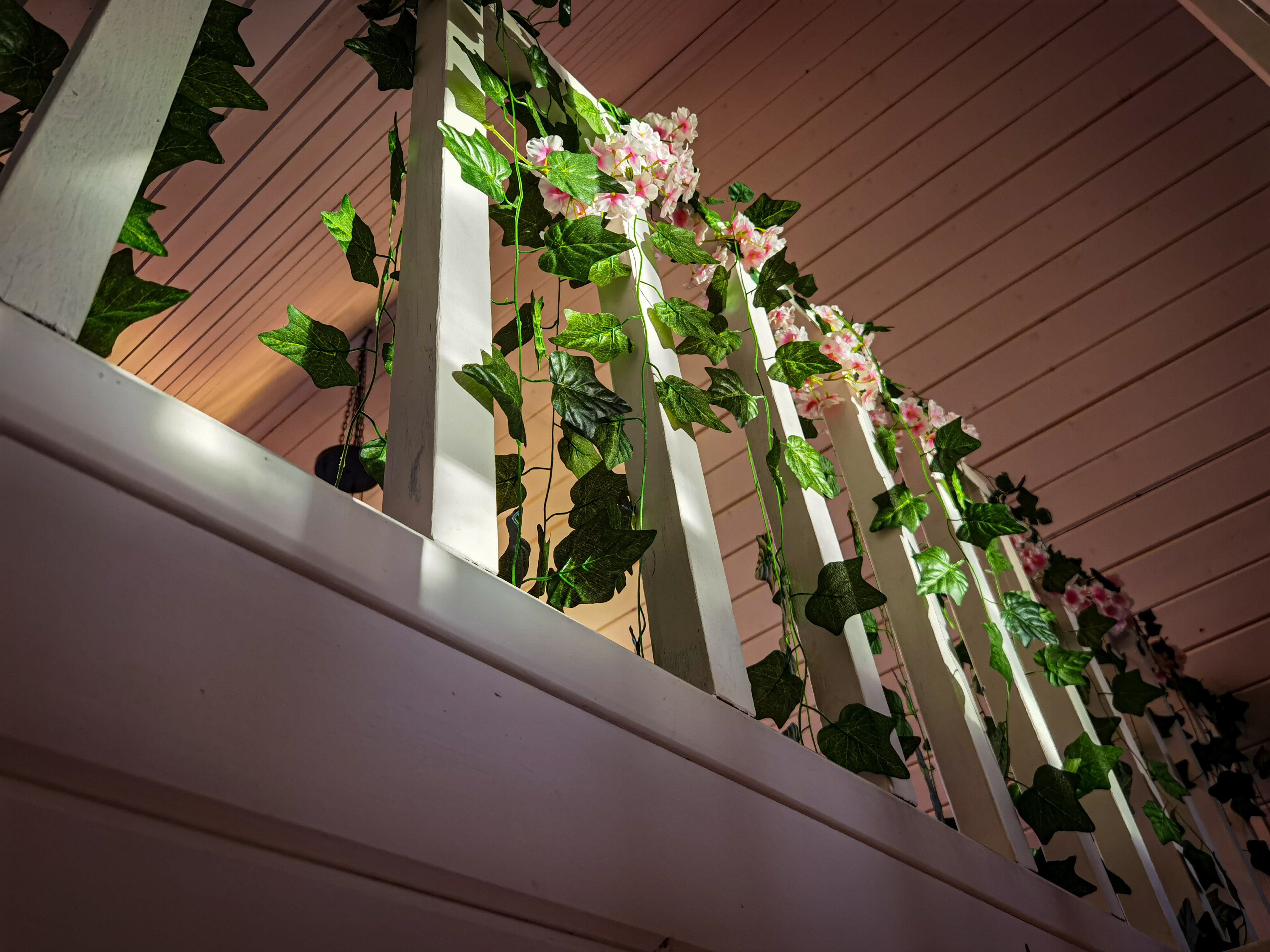 Фото Клюква