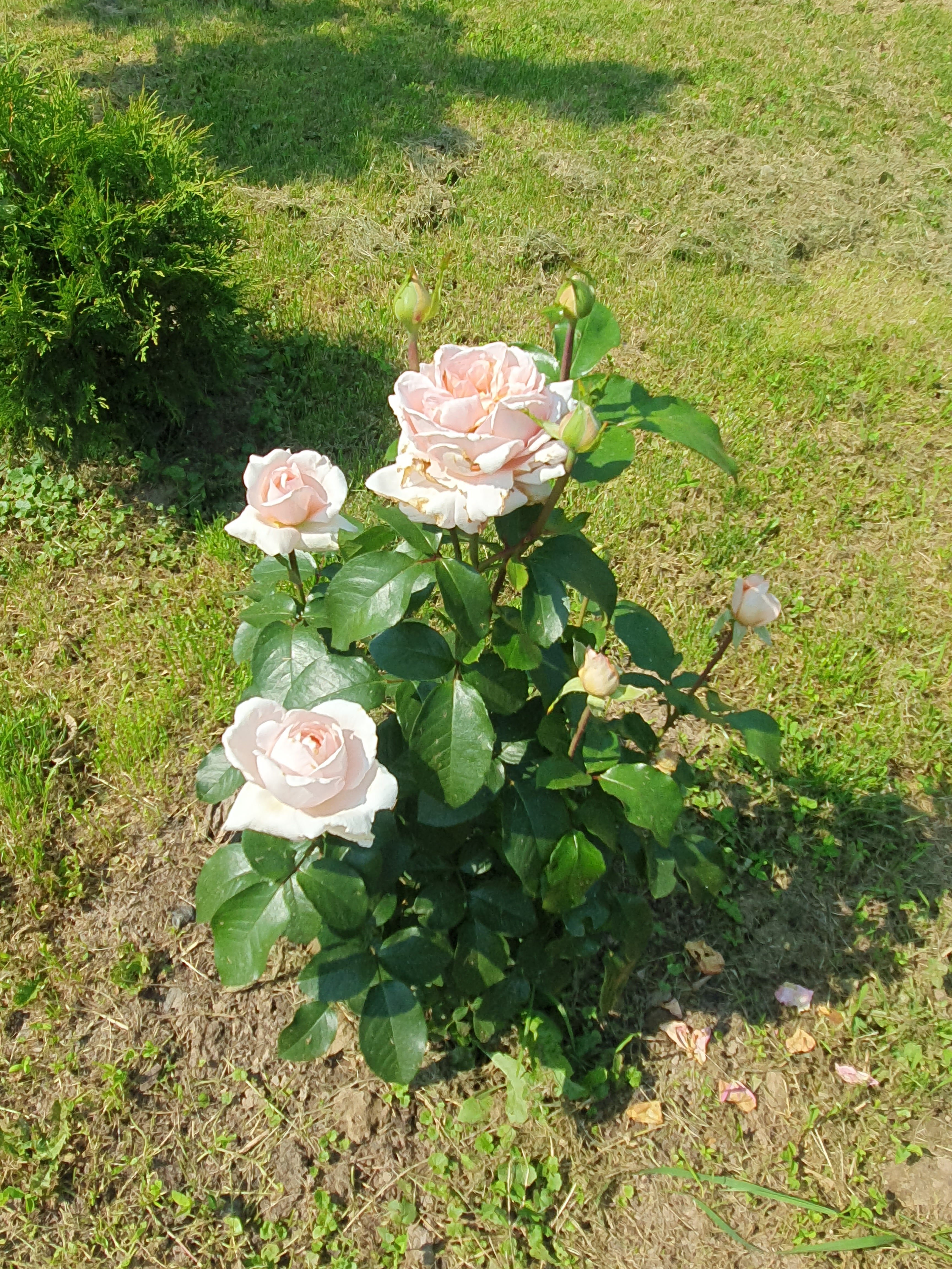 Фото Усадьба