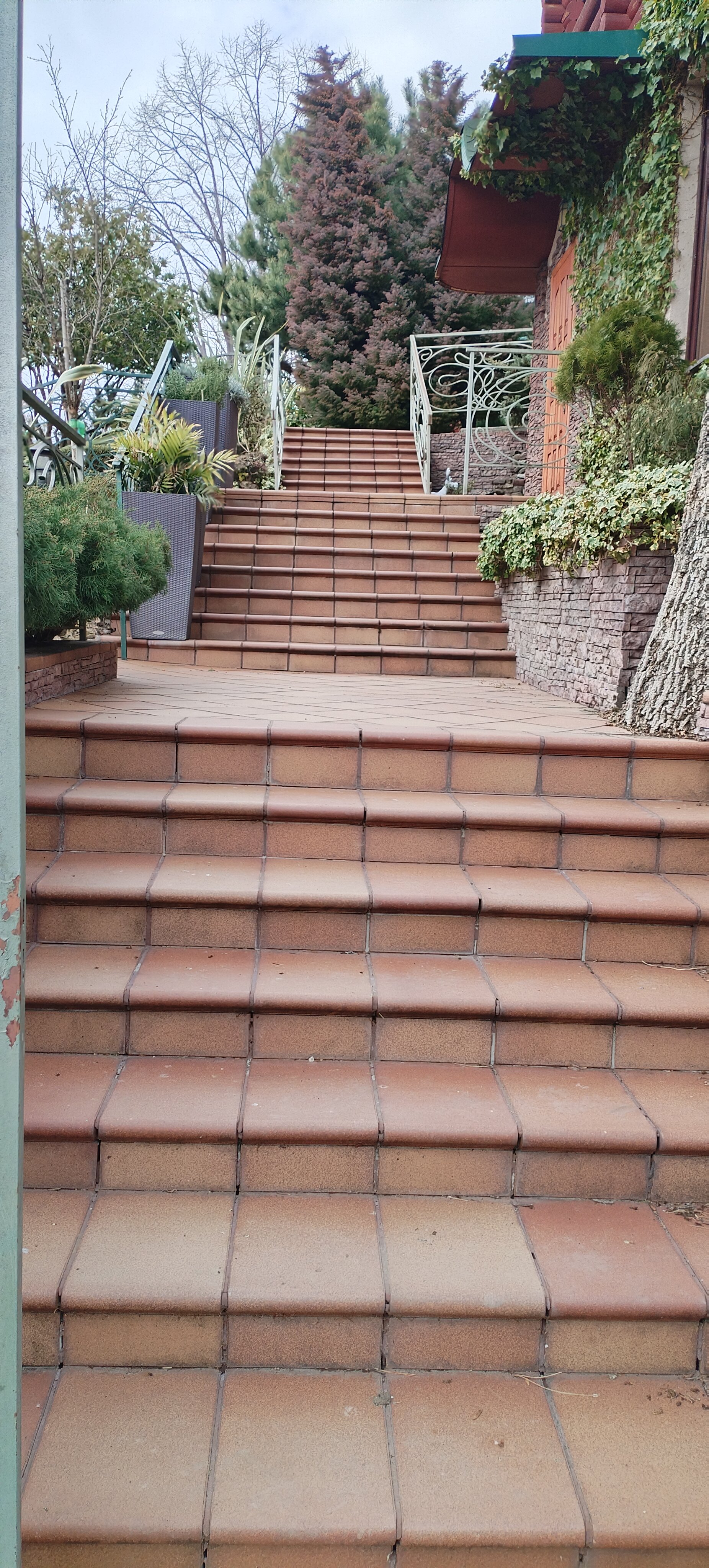 Фото Вилла Мэй