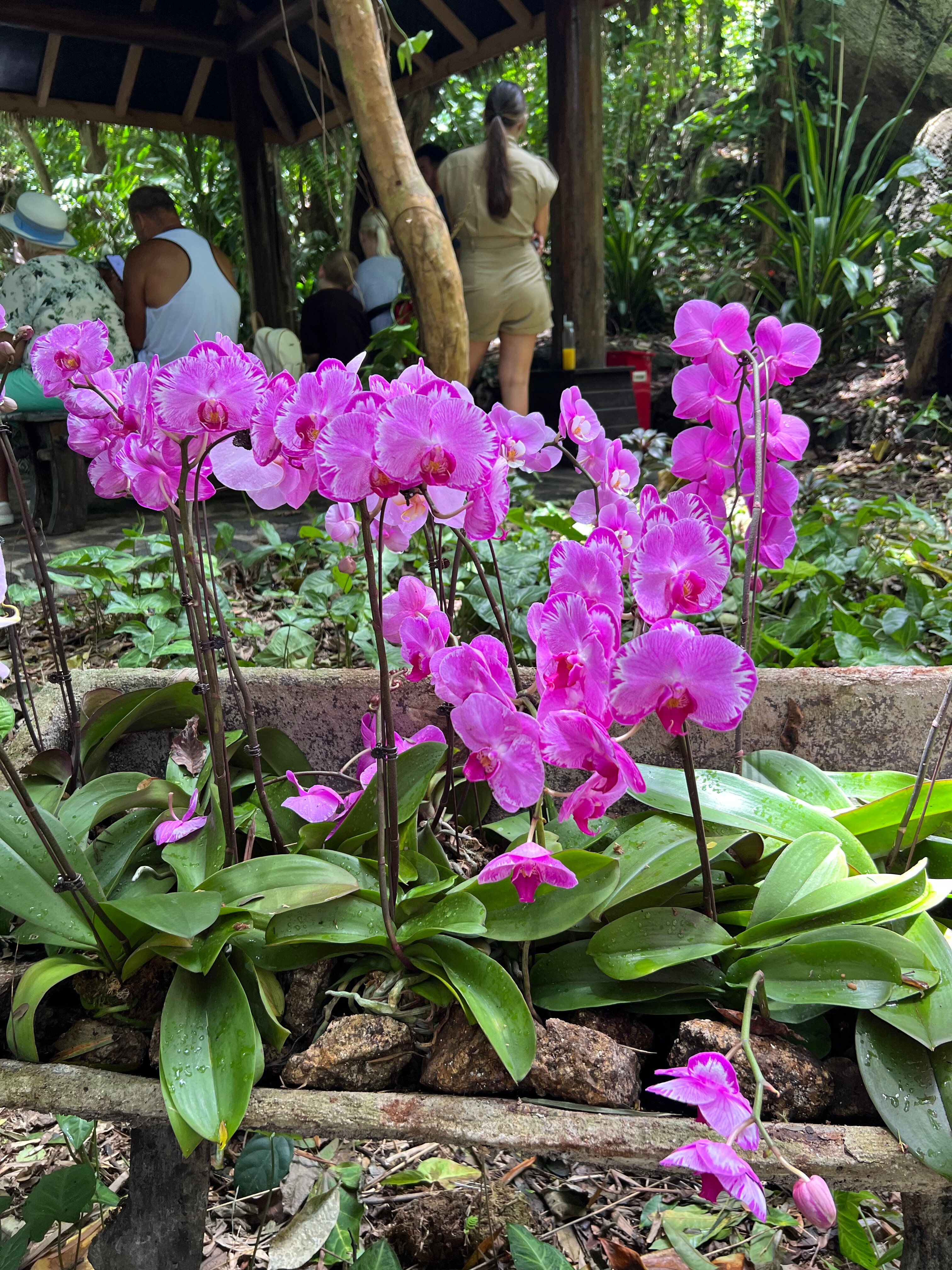 Фото Palm Beach Resort & SPA