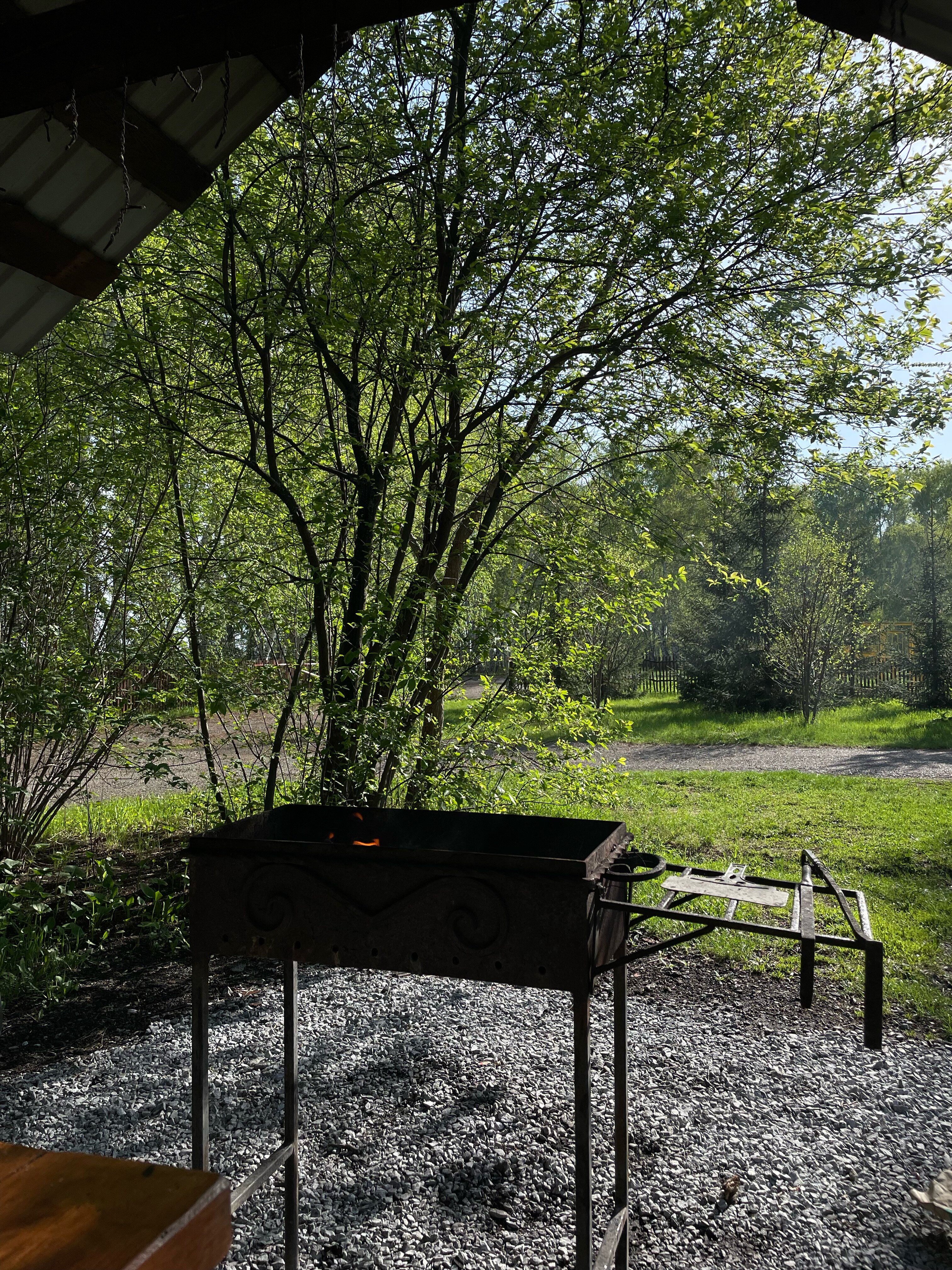 Фото Зотино