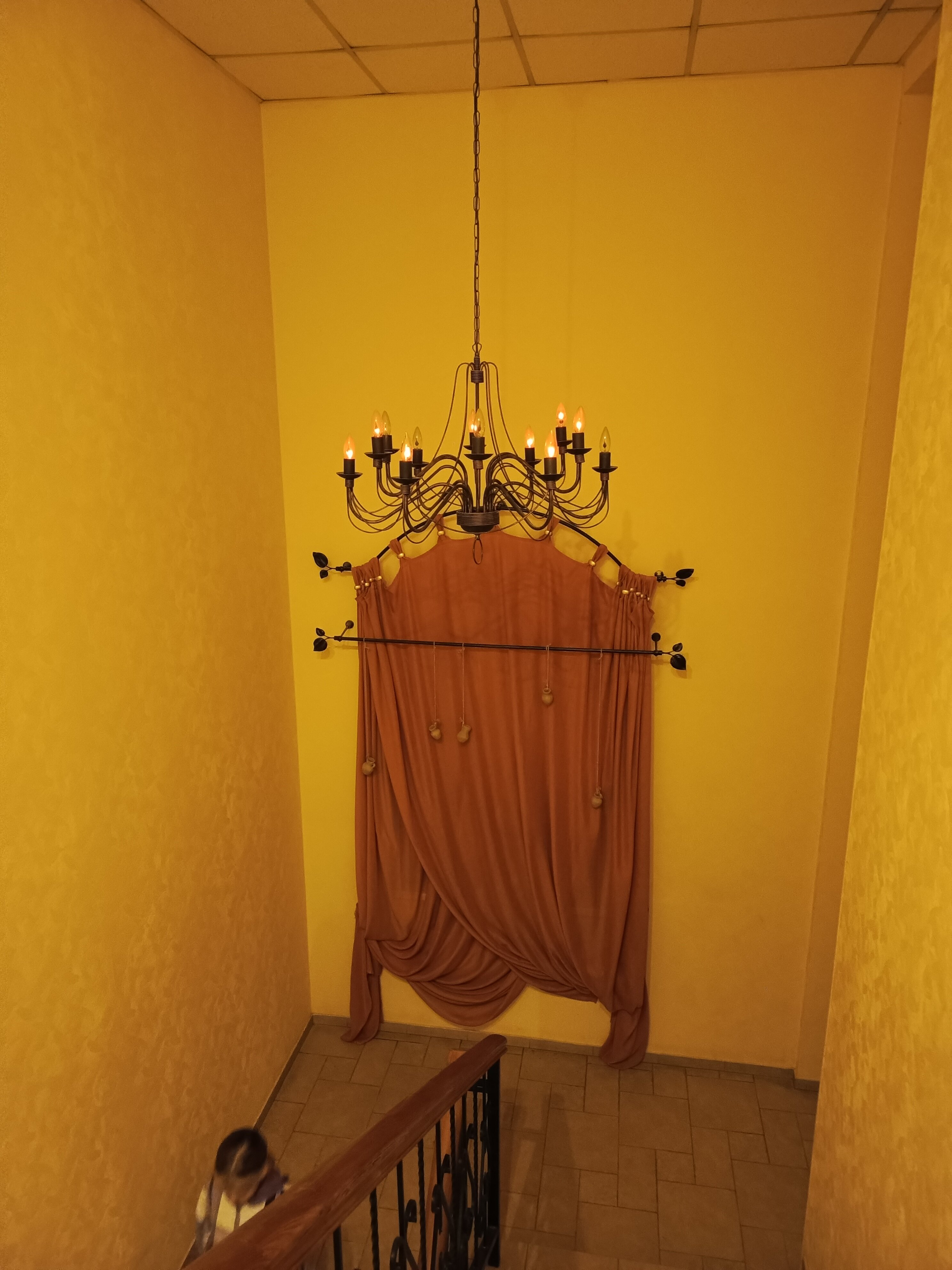 Фото Калина красная