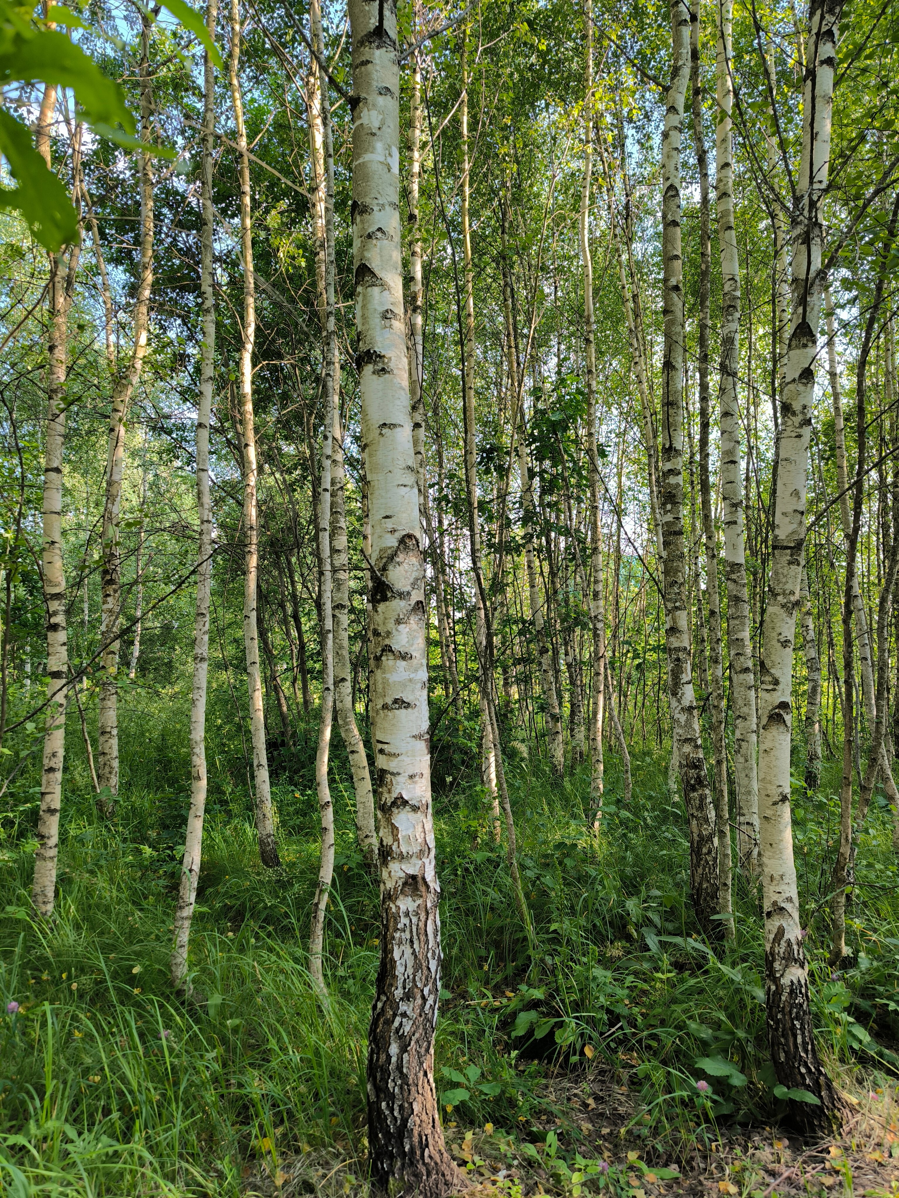 Фото Iliynka Village