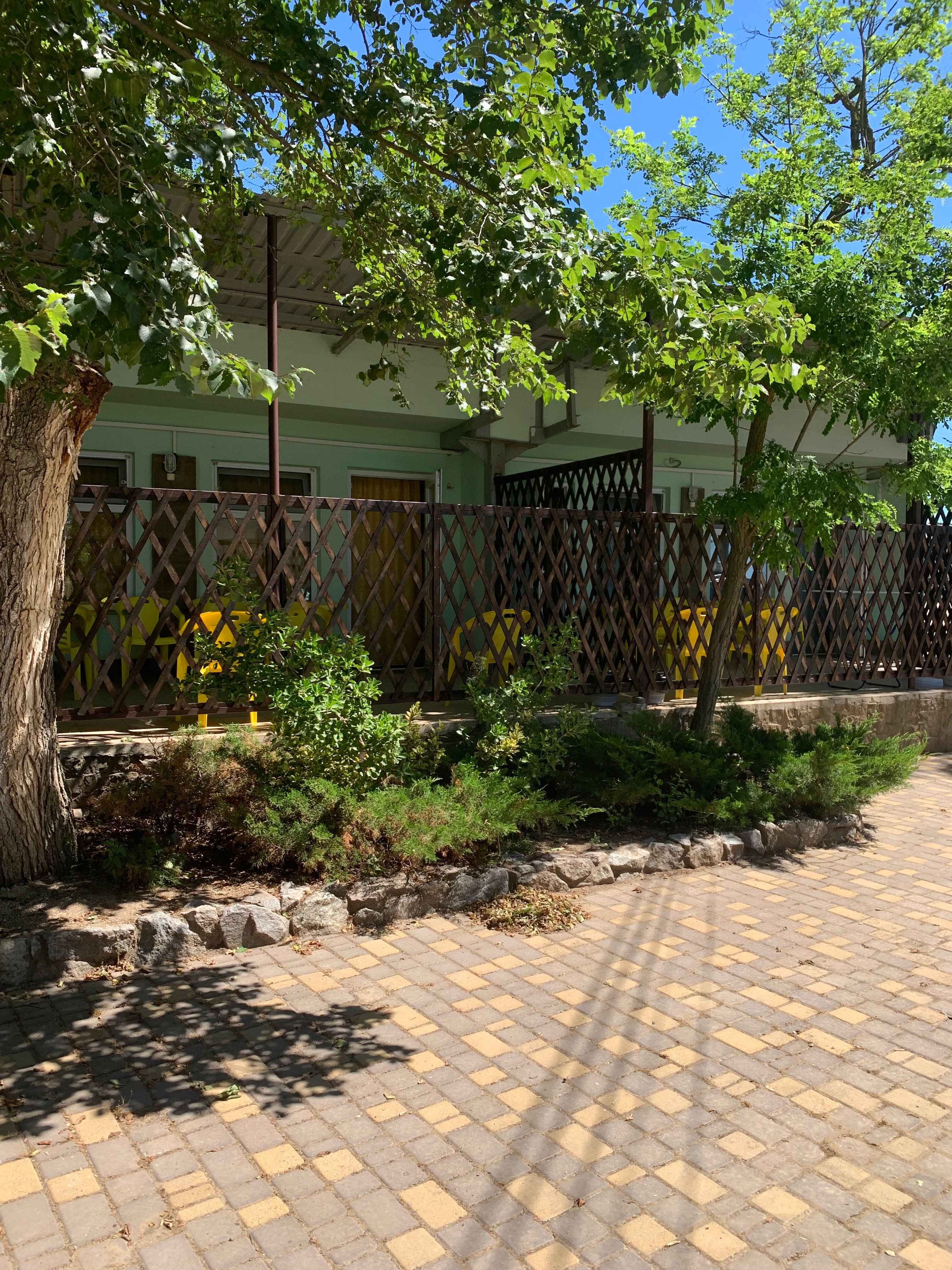 Фото Жемчужный