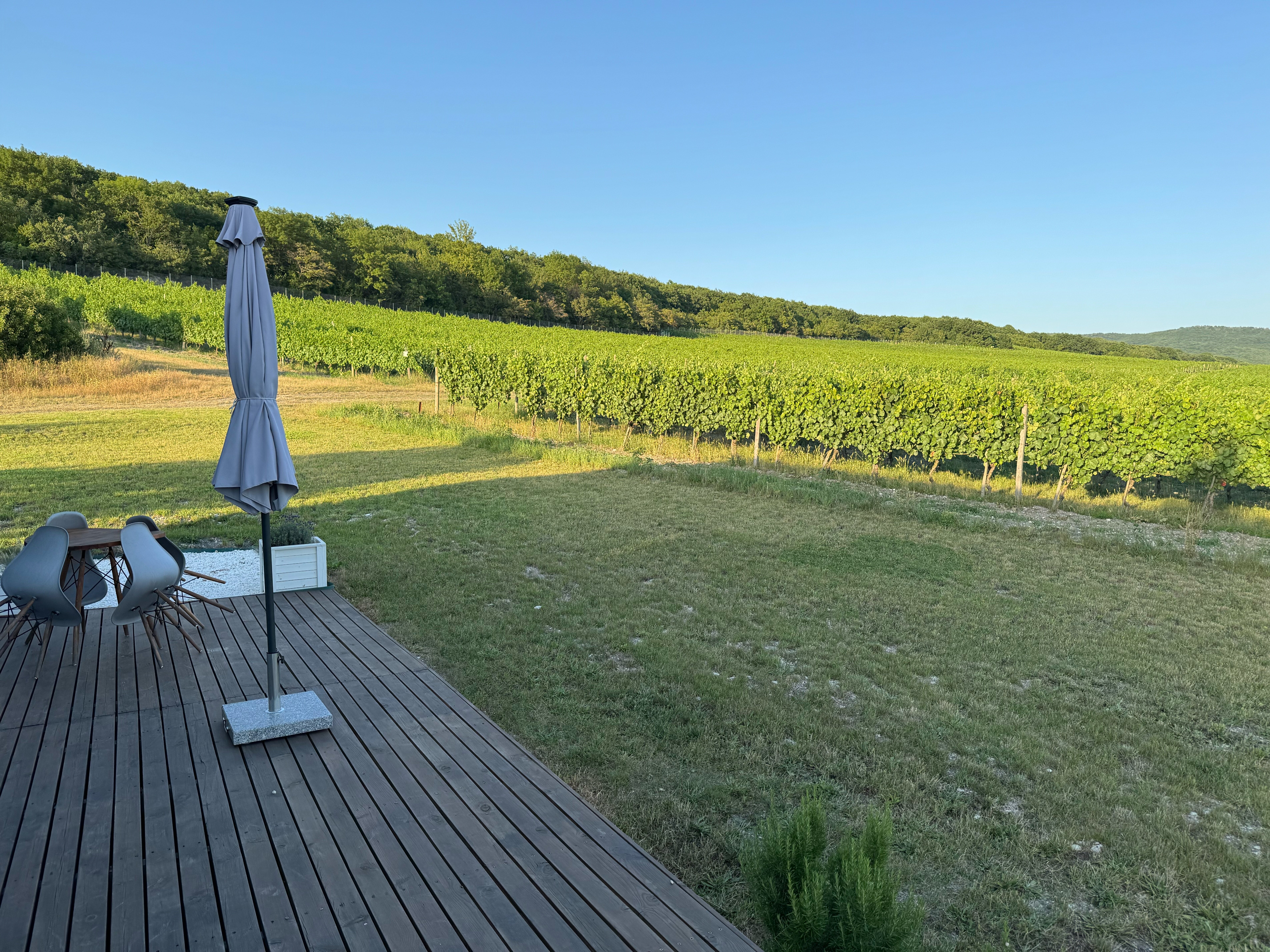 Фото Бюрнье