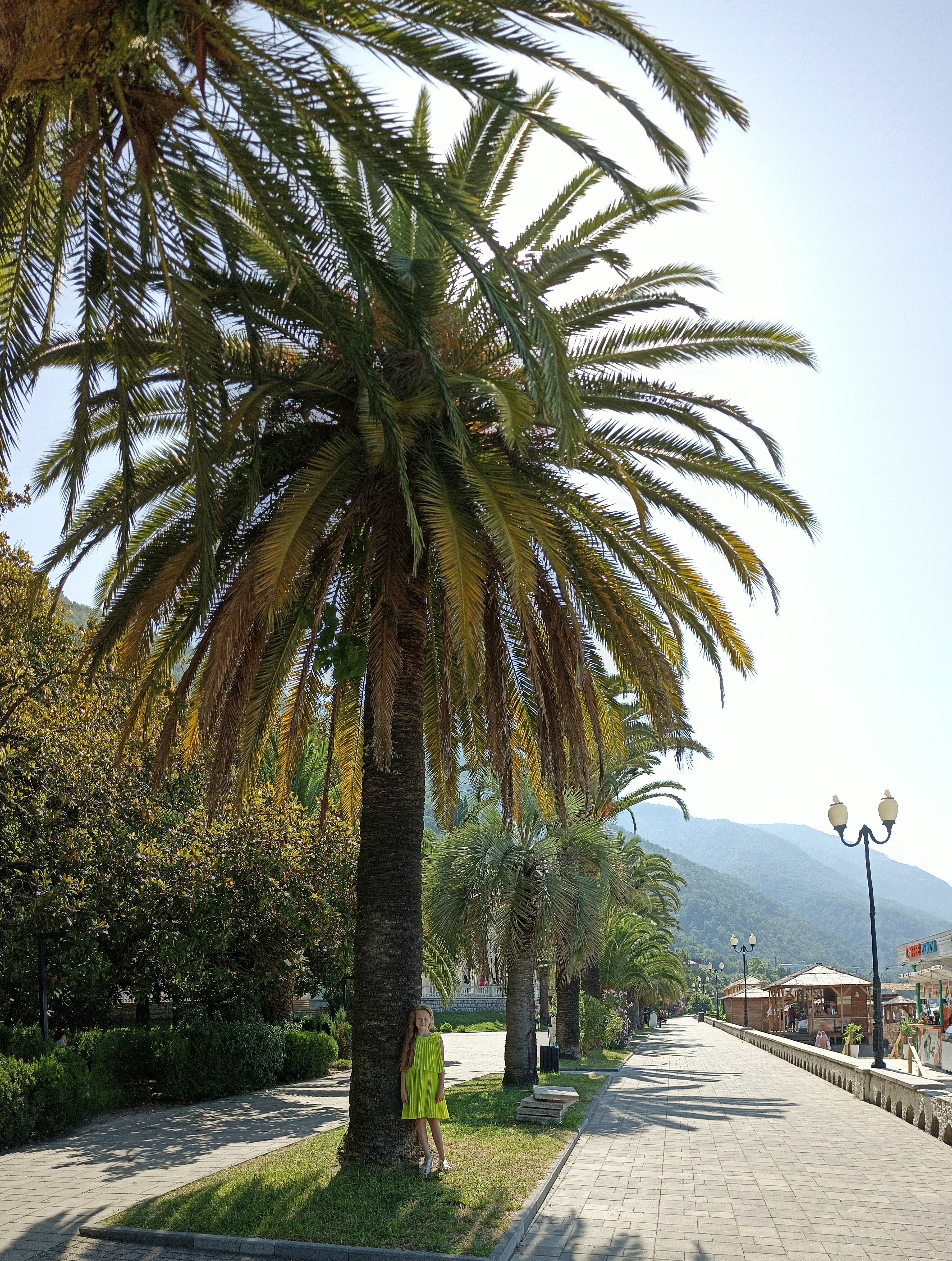 Фото Royal Riviera