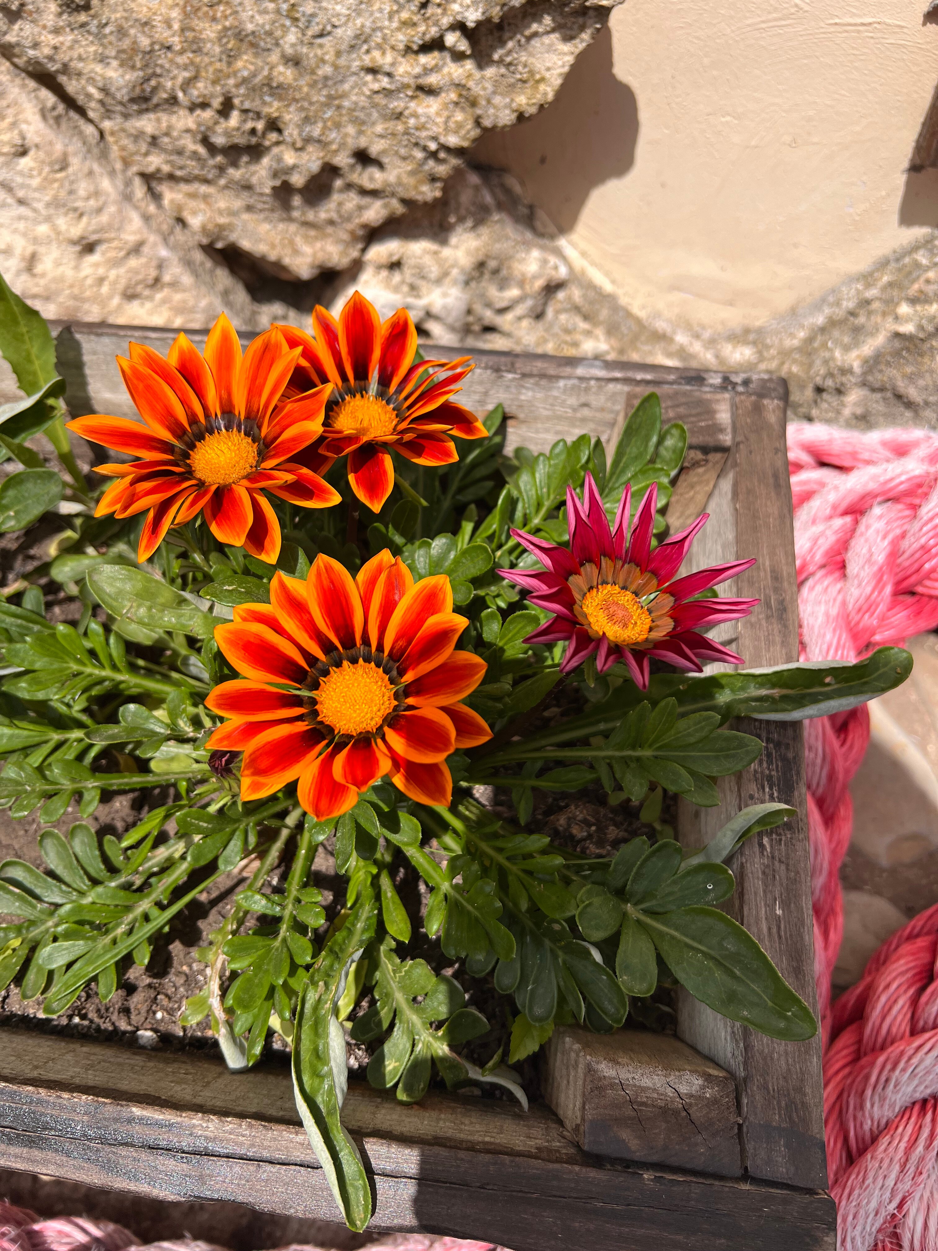 Фото Welcome Голубой залив