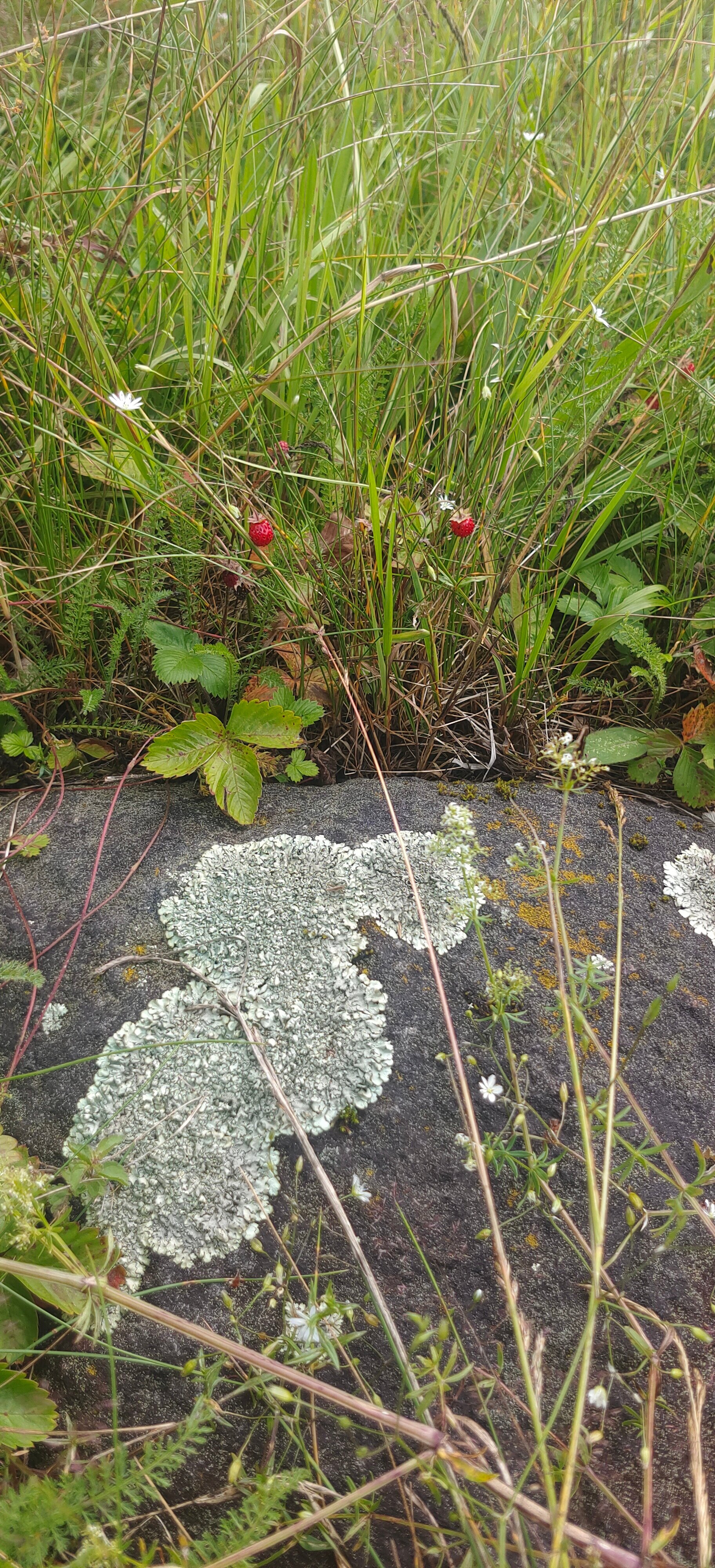 Фото Вершина Селигера