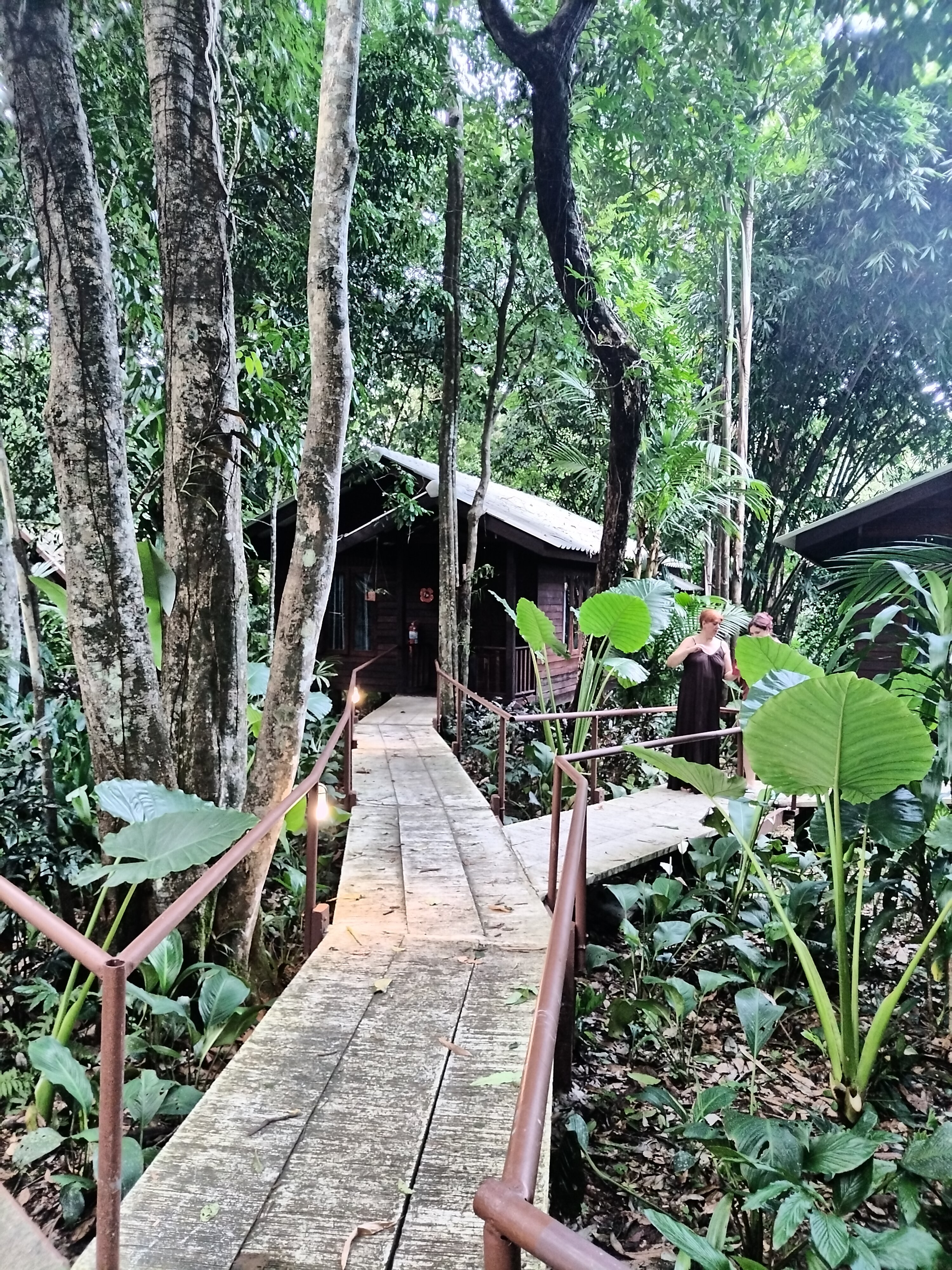 Фото Khao Sok Riverside Cottage
