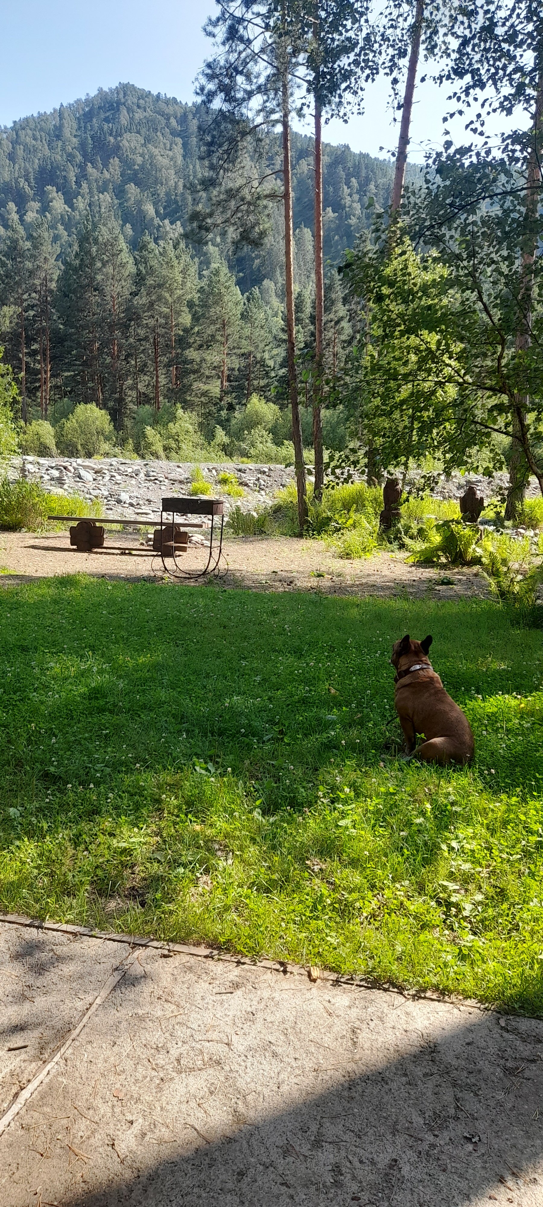 Фото Эко-парк Алтай Грин