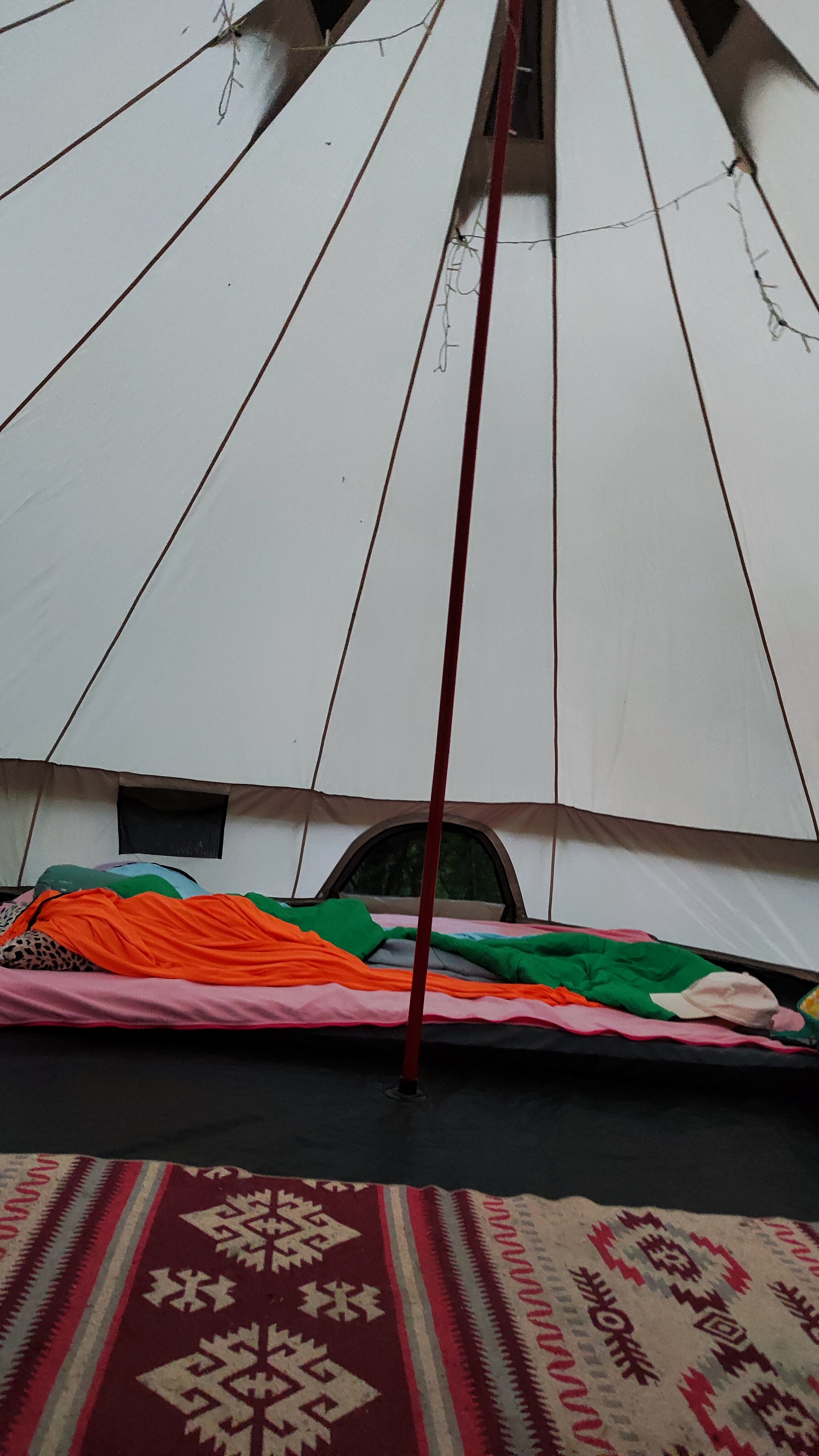 Фото В тени Тутовника