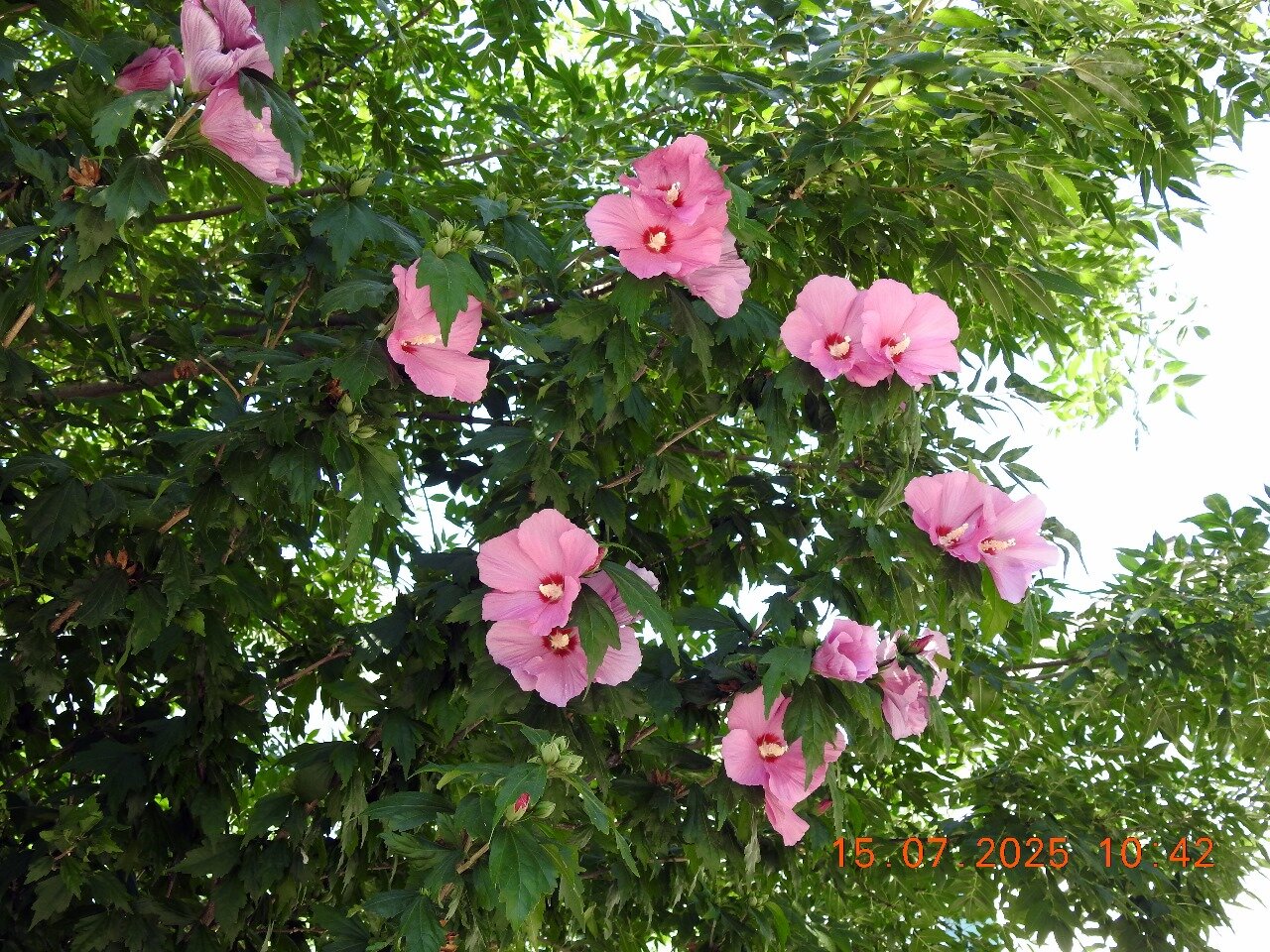 Фото Европа