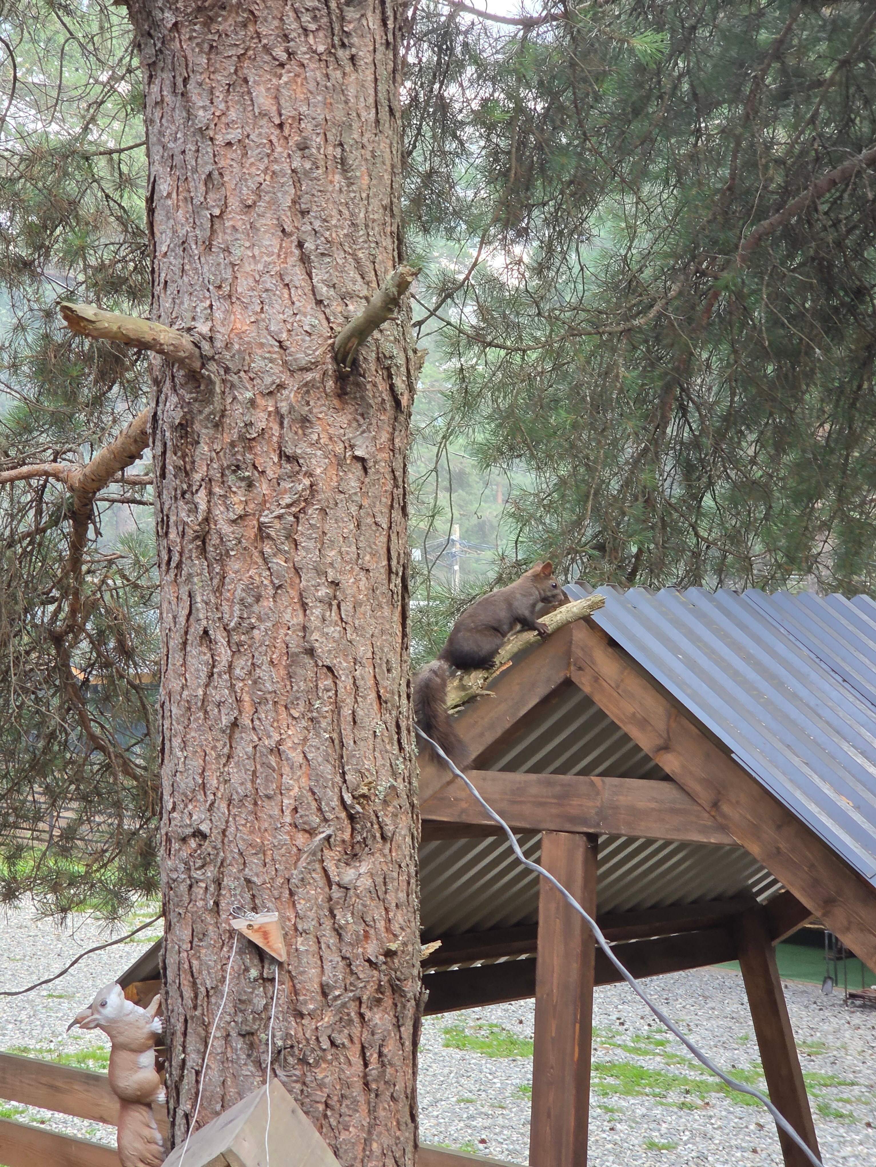 Фото Терраса Домики в Архызе