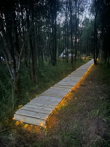 Внешний вид отеля Беловодье в Шуклеево, фото 2