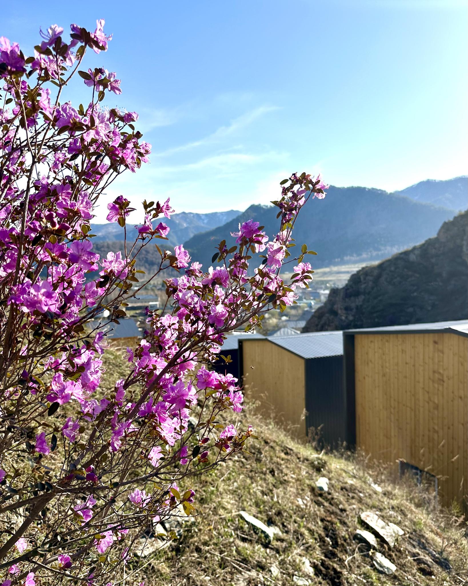 Фото Горная усадьба Altaypic