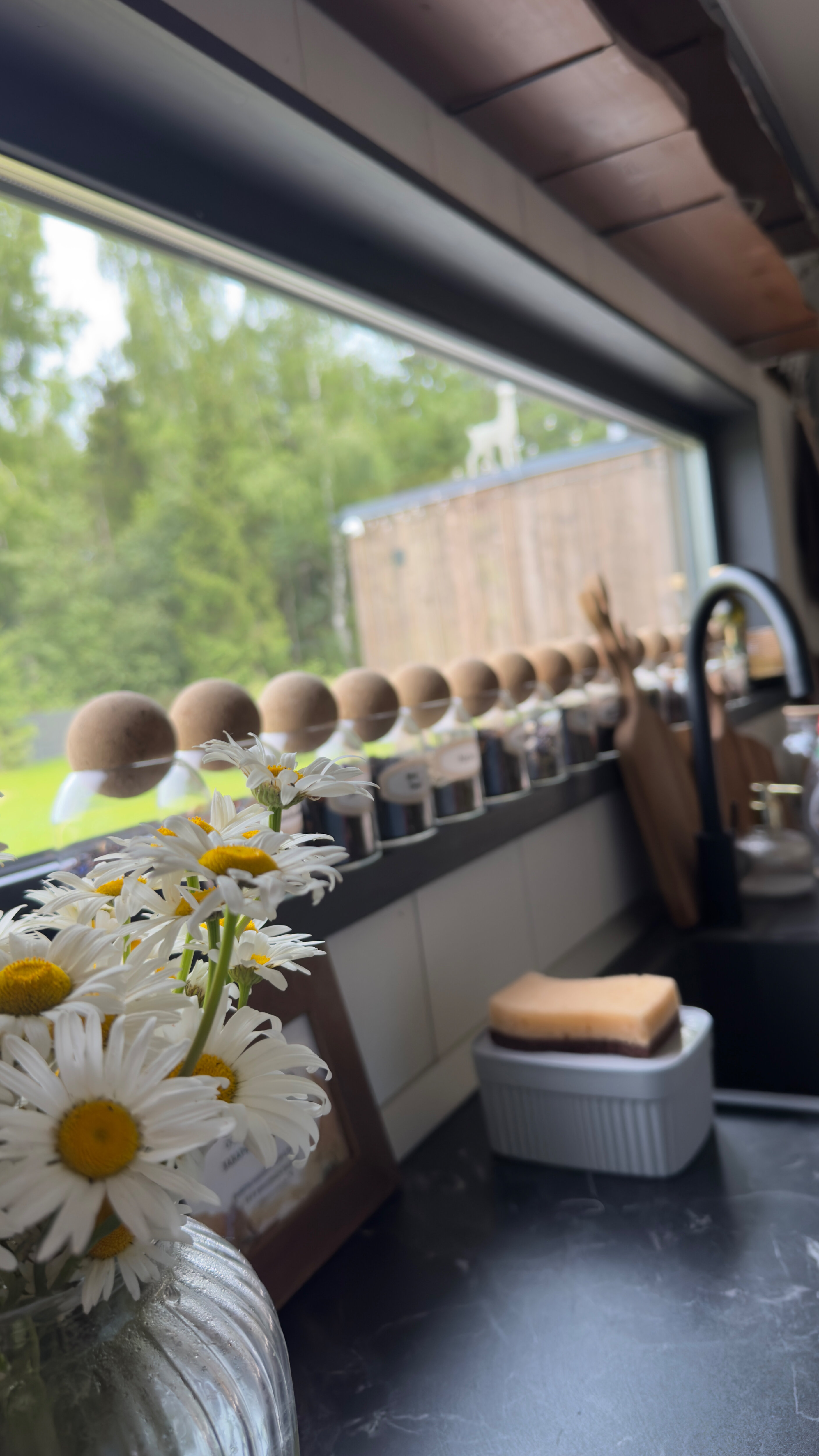 Фото Лесной Викенд