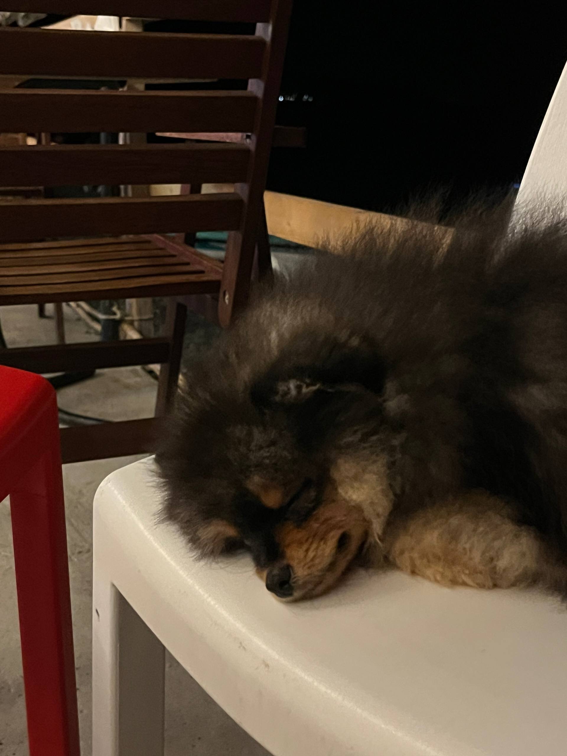 Фото 35-й Меридиан