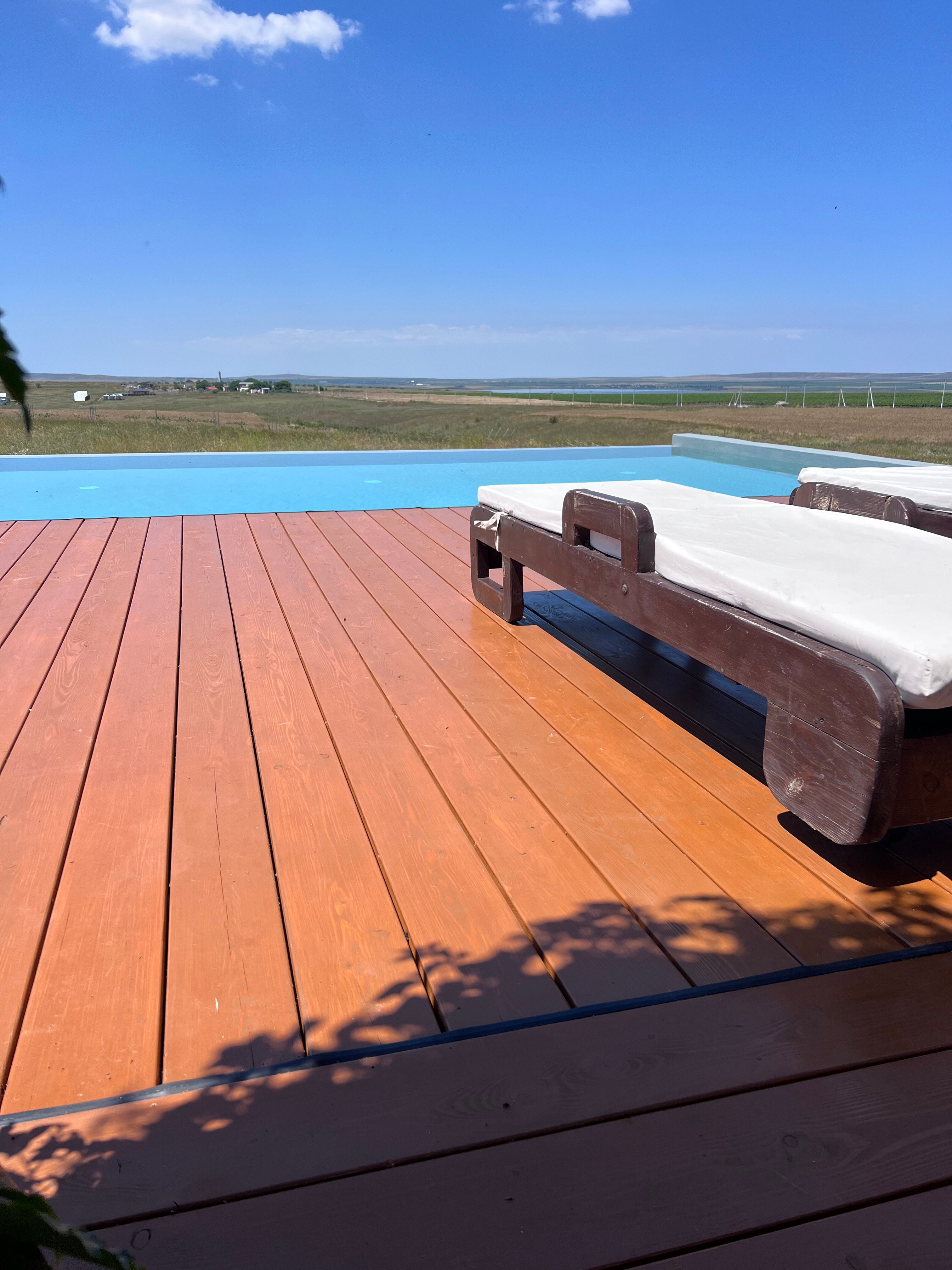 Фото Фридом