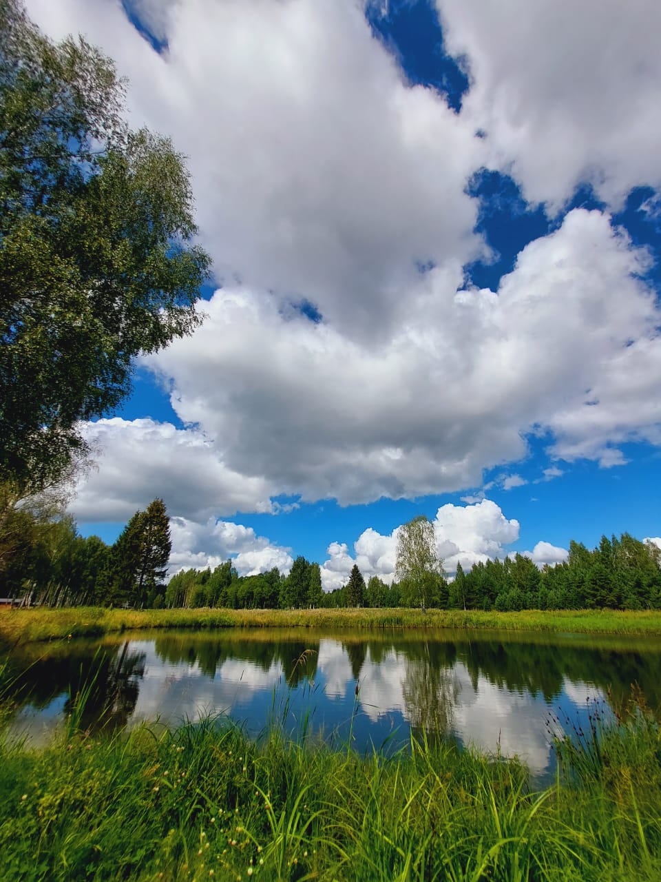 Фото Агроусадьба Мечта