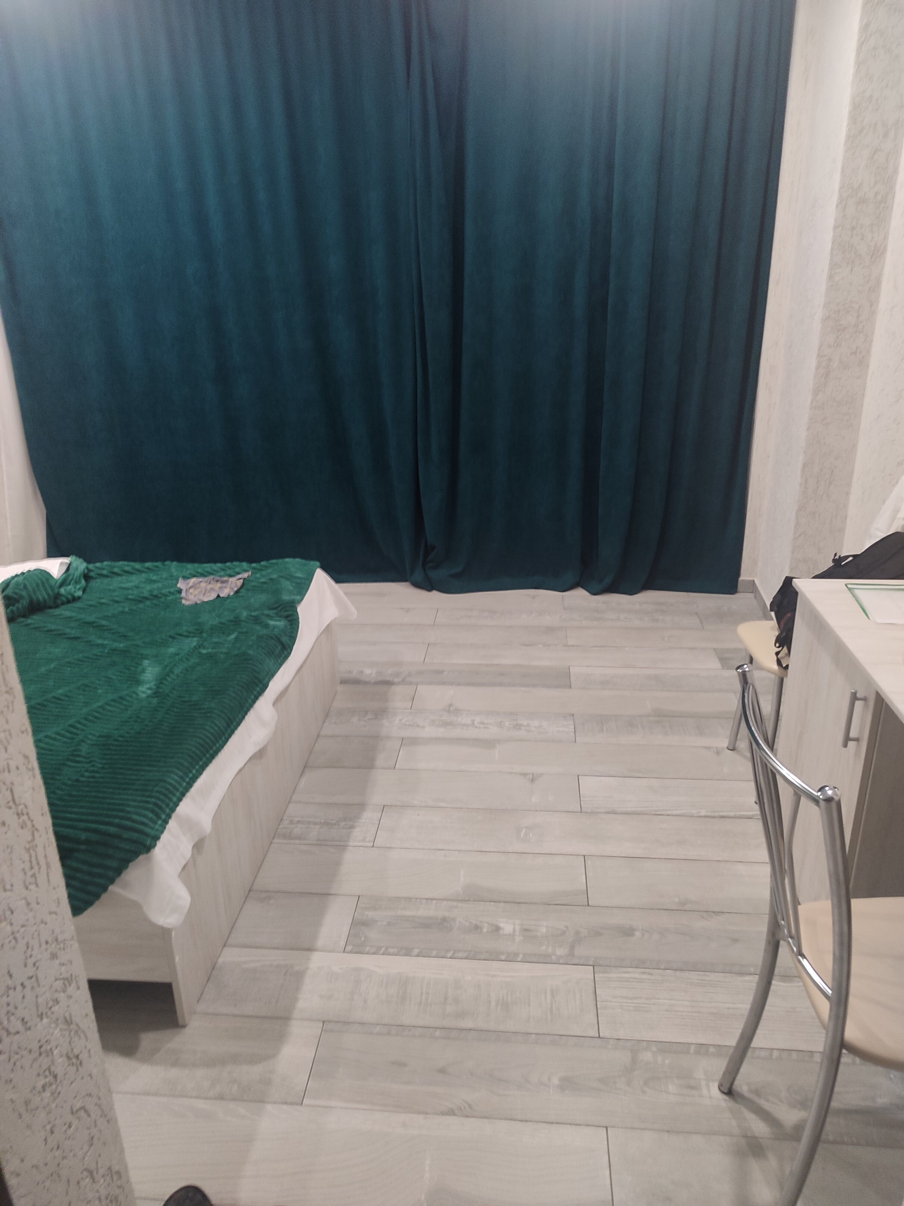 Фото Пальма