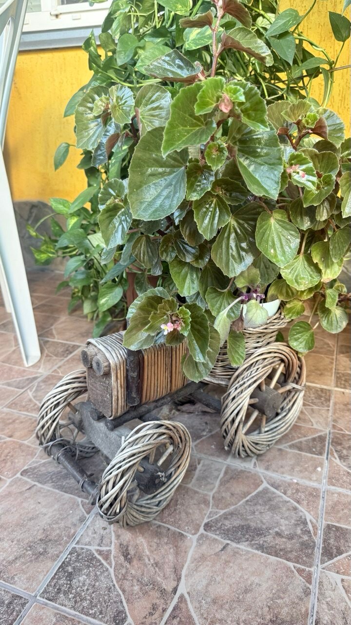 Фото В гостях у моря