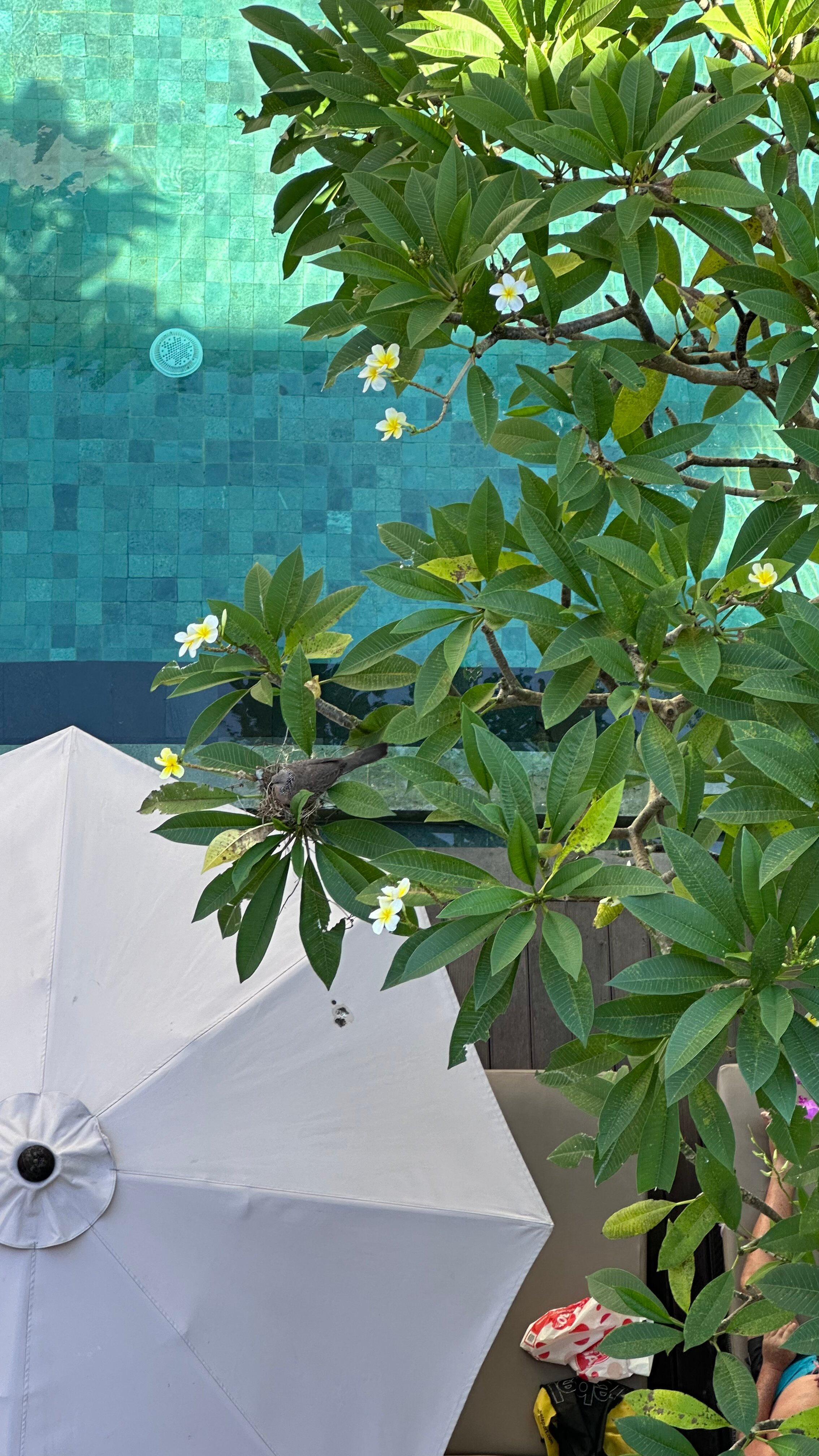 Фото Grand La Walon Hotel