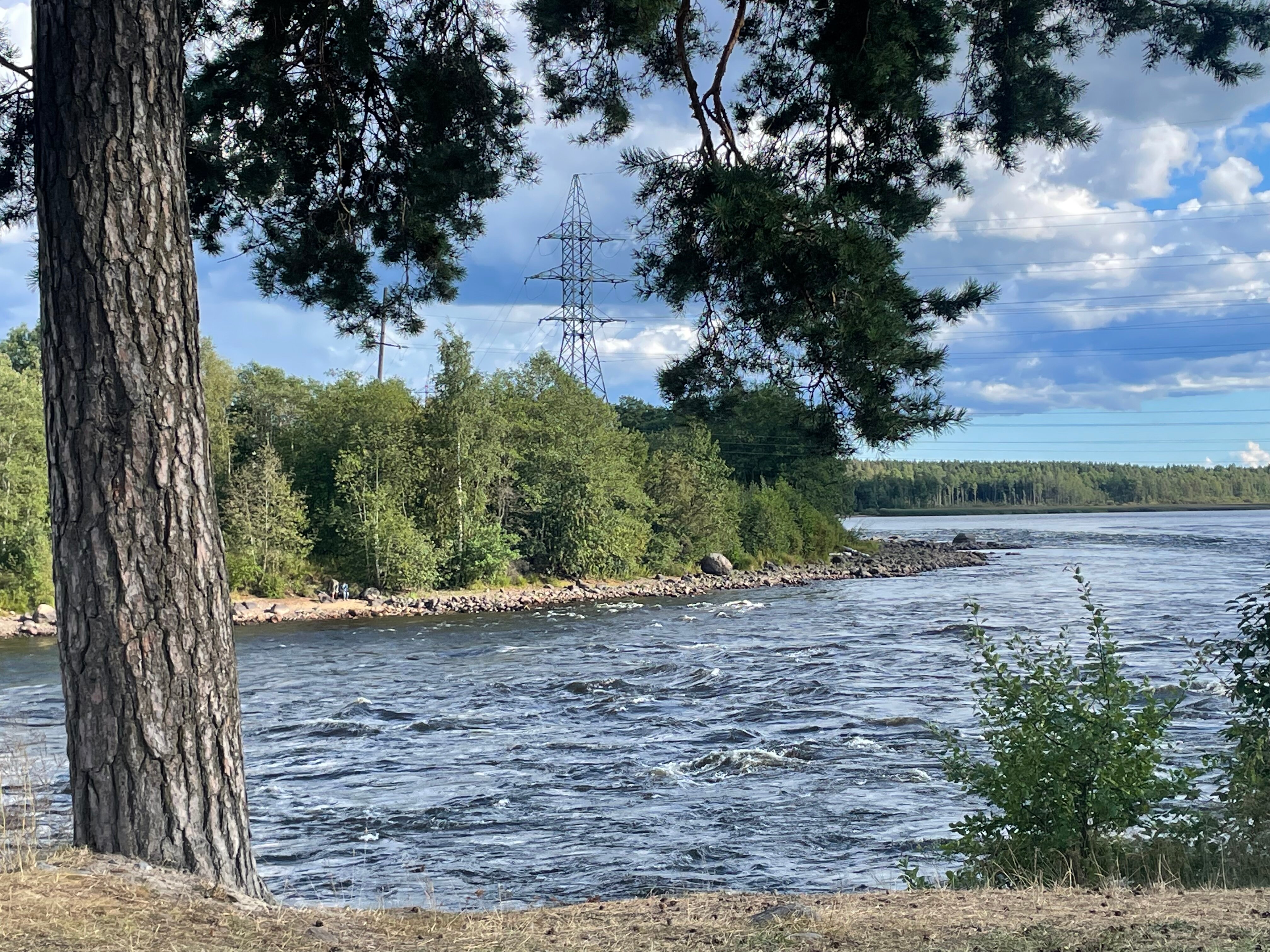 Фото Лосевода