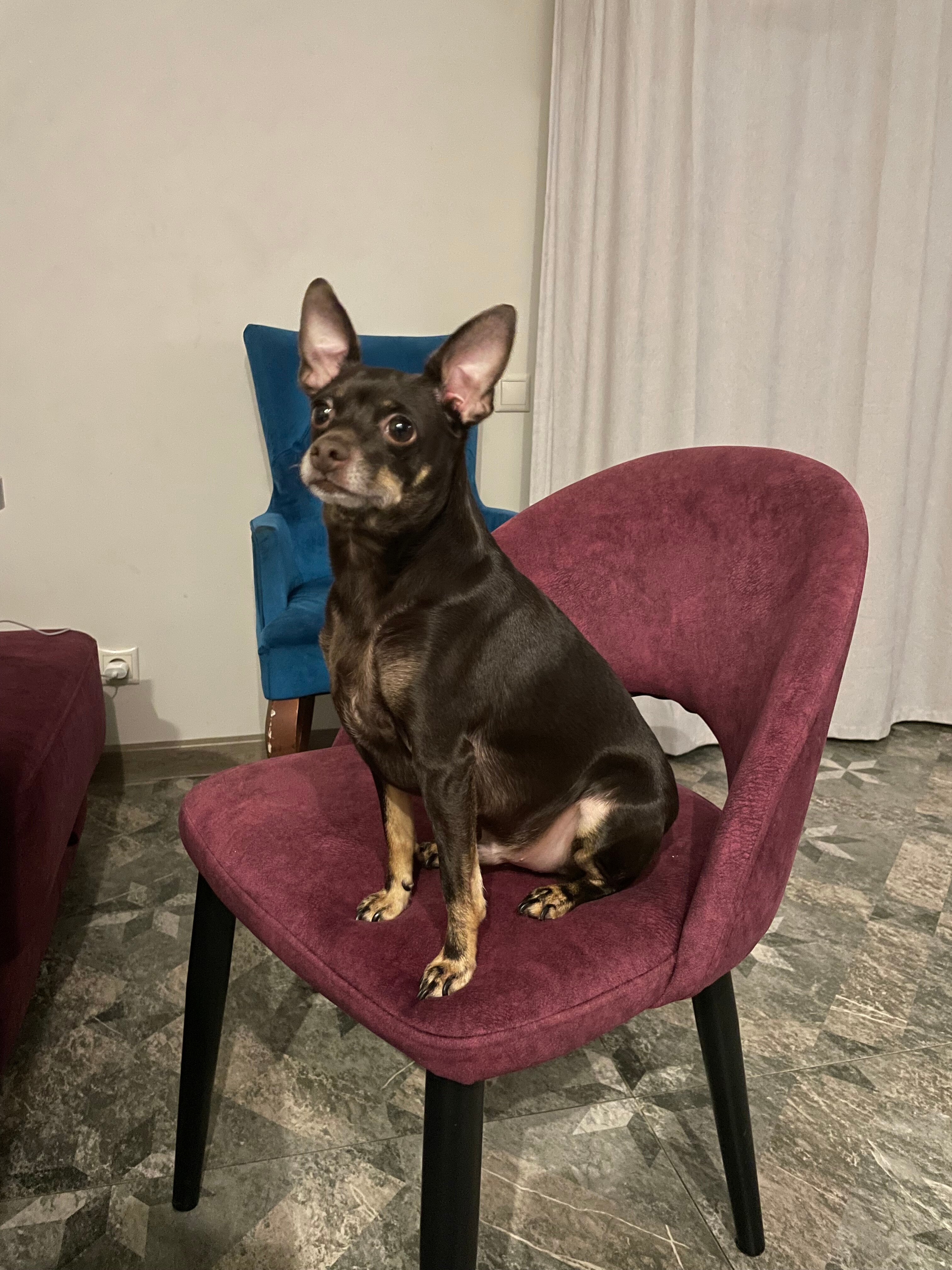 Фото Dacha Place