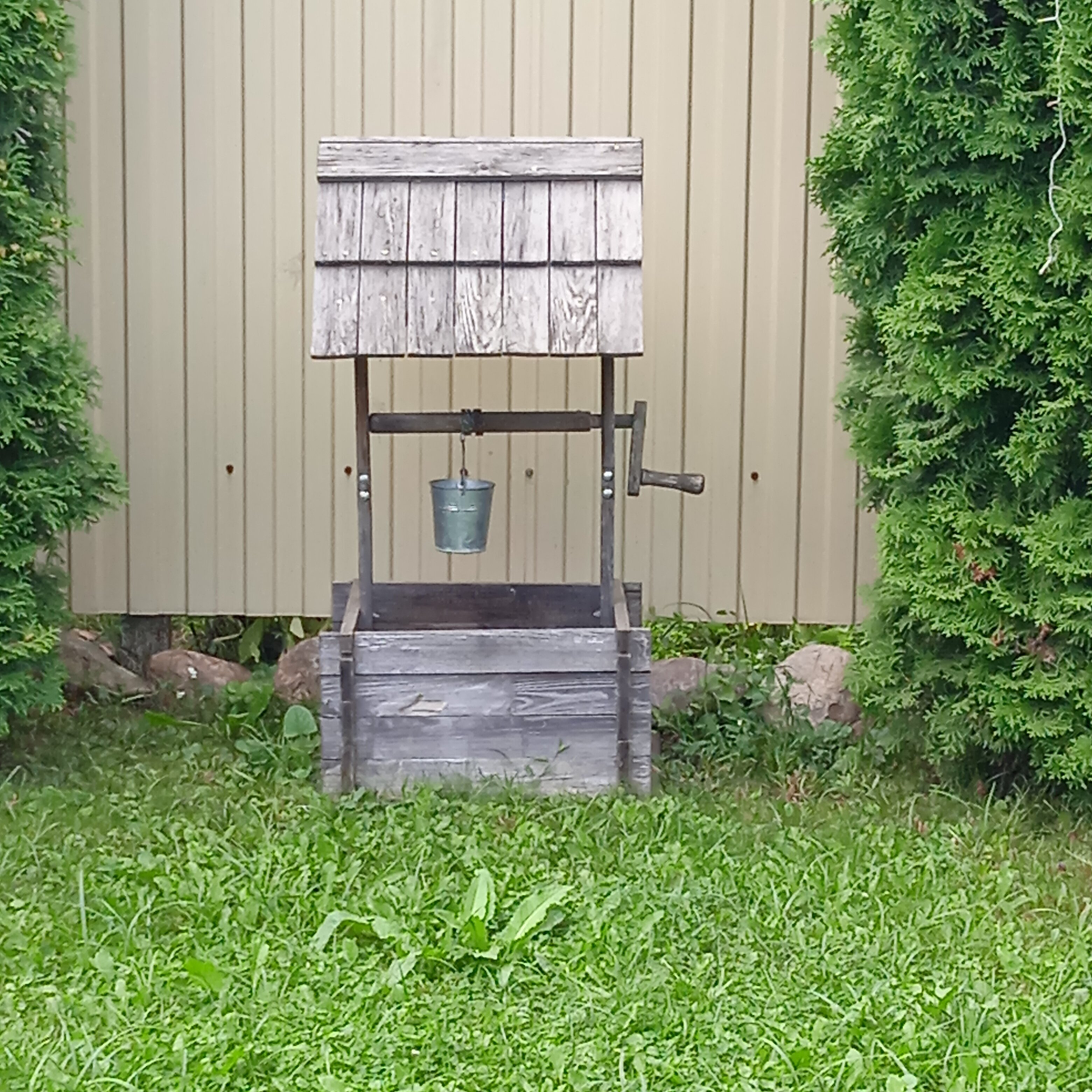 Фото Династия