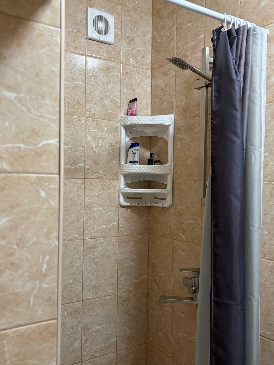 Фото Кальмар