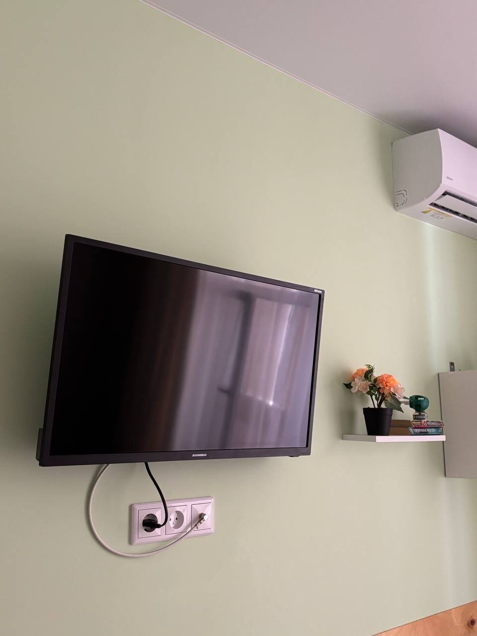 Фото Кальмар