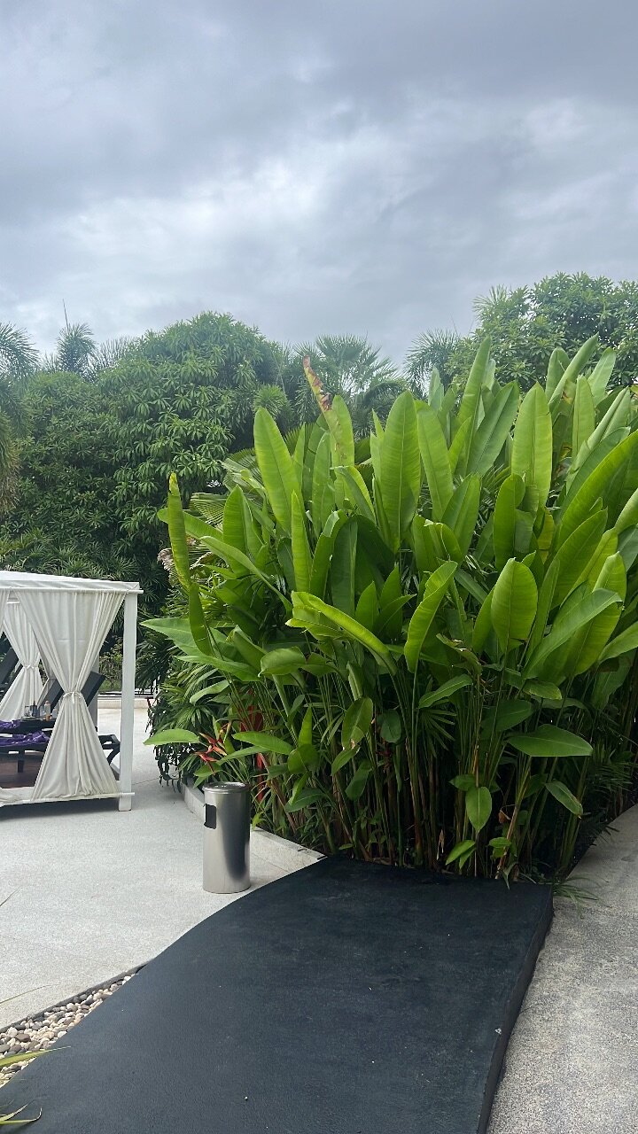 Фото The Front Village