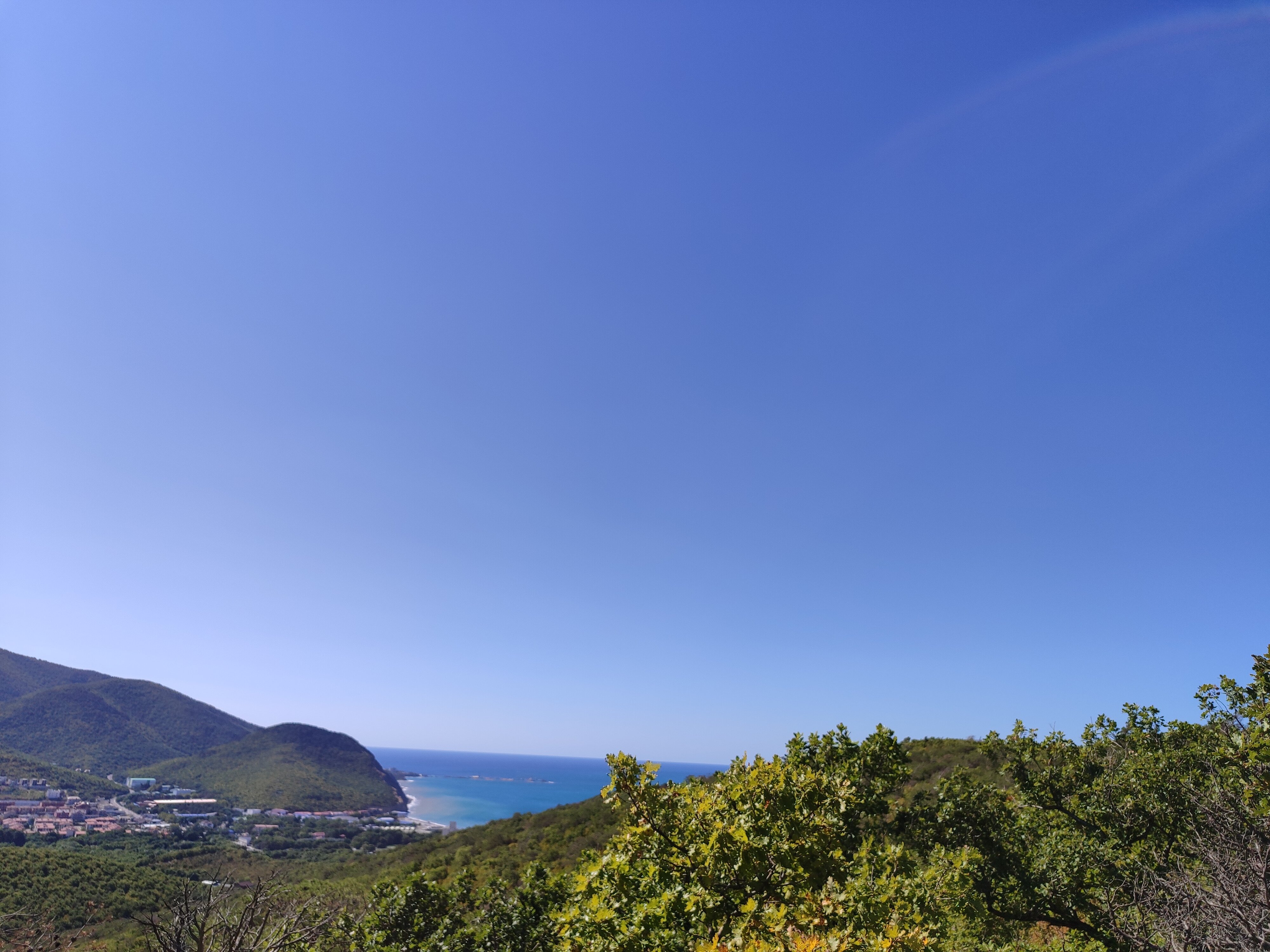 Фото Медовик