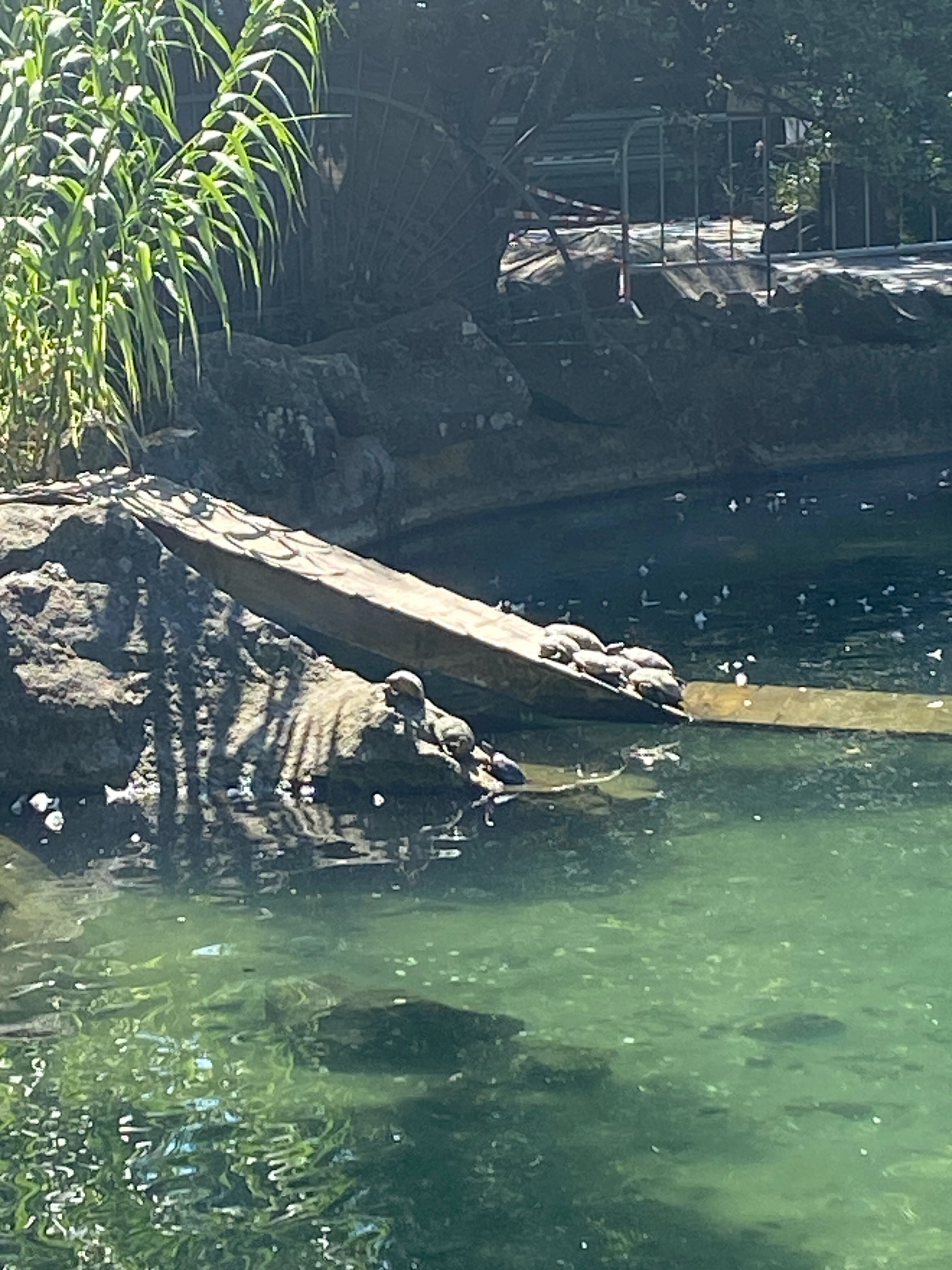 Фото Сон у моря