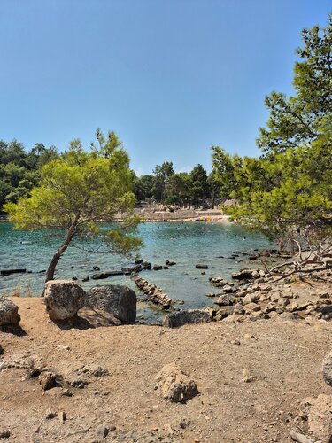 Urban forest Urban forest, Kemer, photo