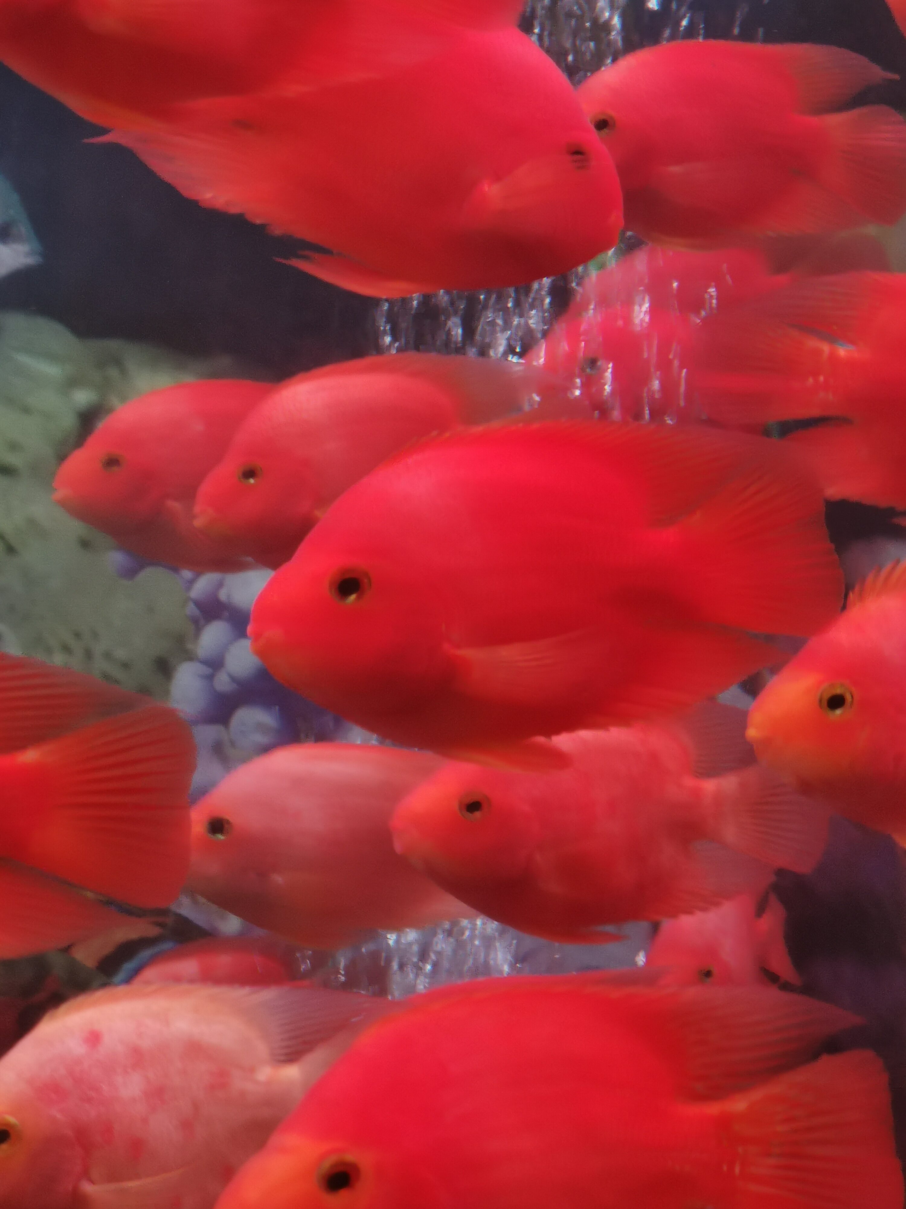 Фото Crowne Plaza Shanghai Nanjing Road