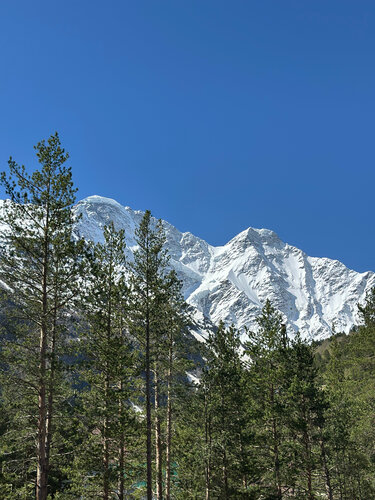 Гостиница Mountfeel в Терсколе