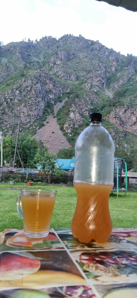 Intensive animal farming Пасека У Степаныча, Altai Republic, photo
