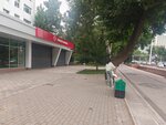Turkish airlines (Alisher Navoi Street, 11A), aerolínea