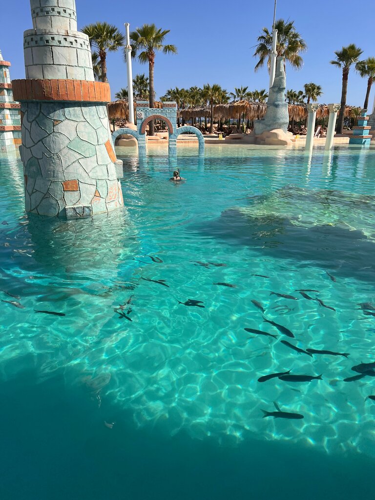 Bar, pub Gold Island Lobby Bar, Alanya, photo