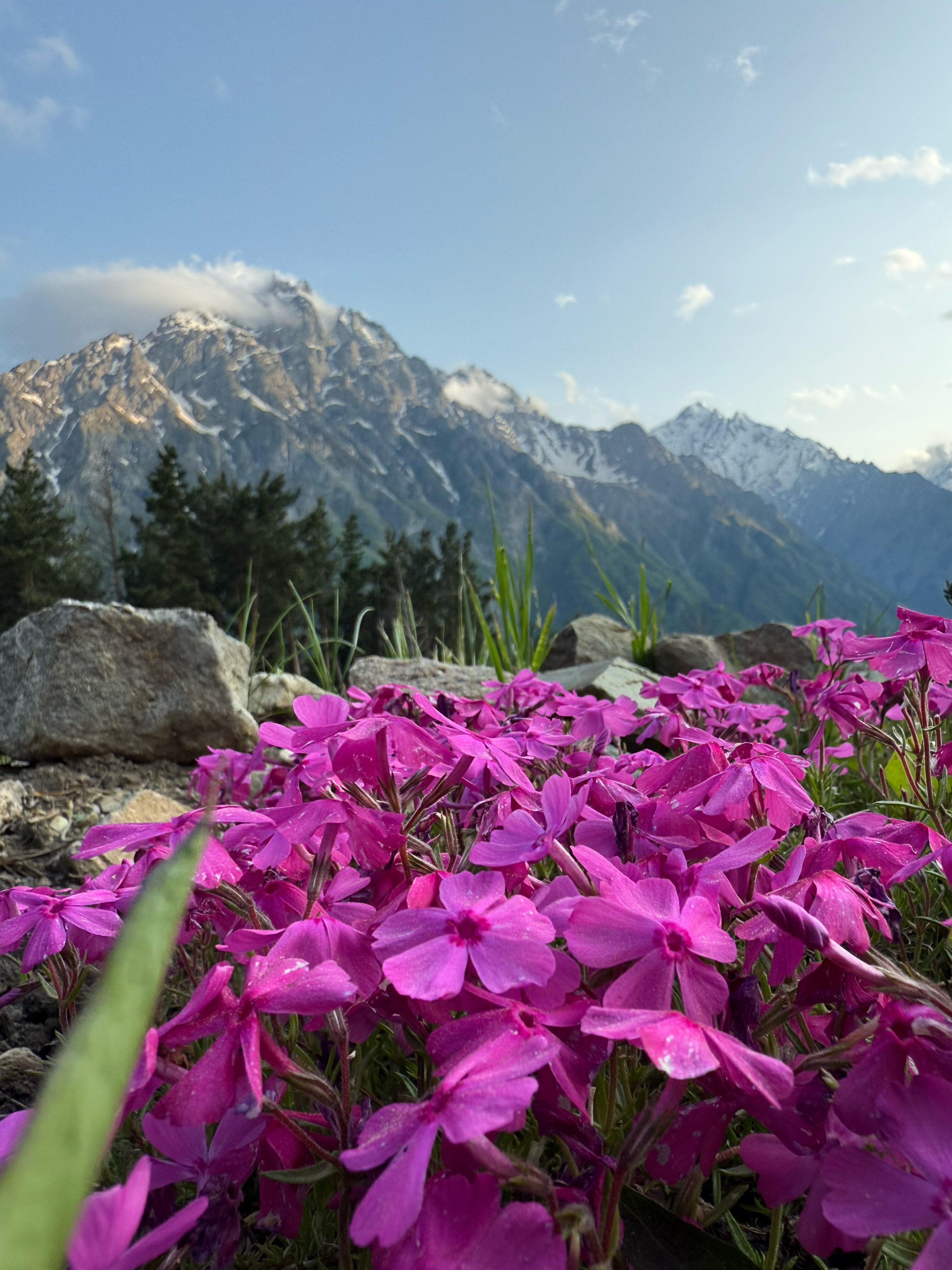 Фото Guest House 1950