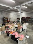 Цветочная база (Stroiteley Street, 17А), flower shop