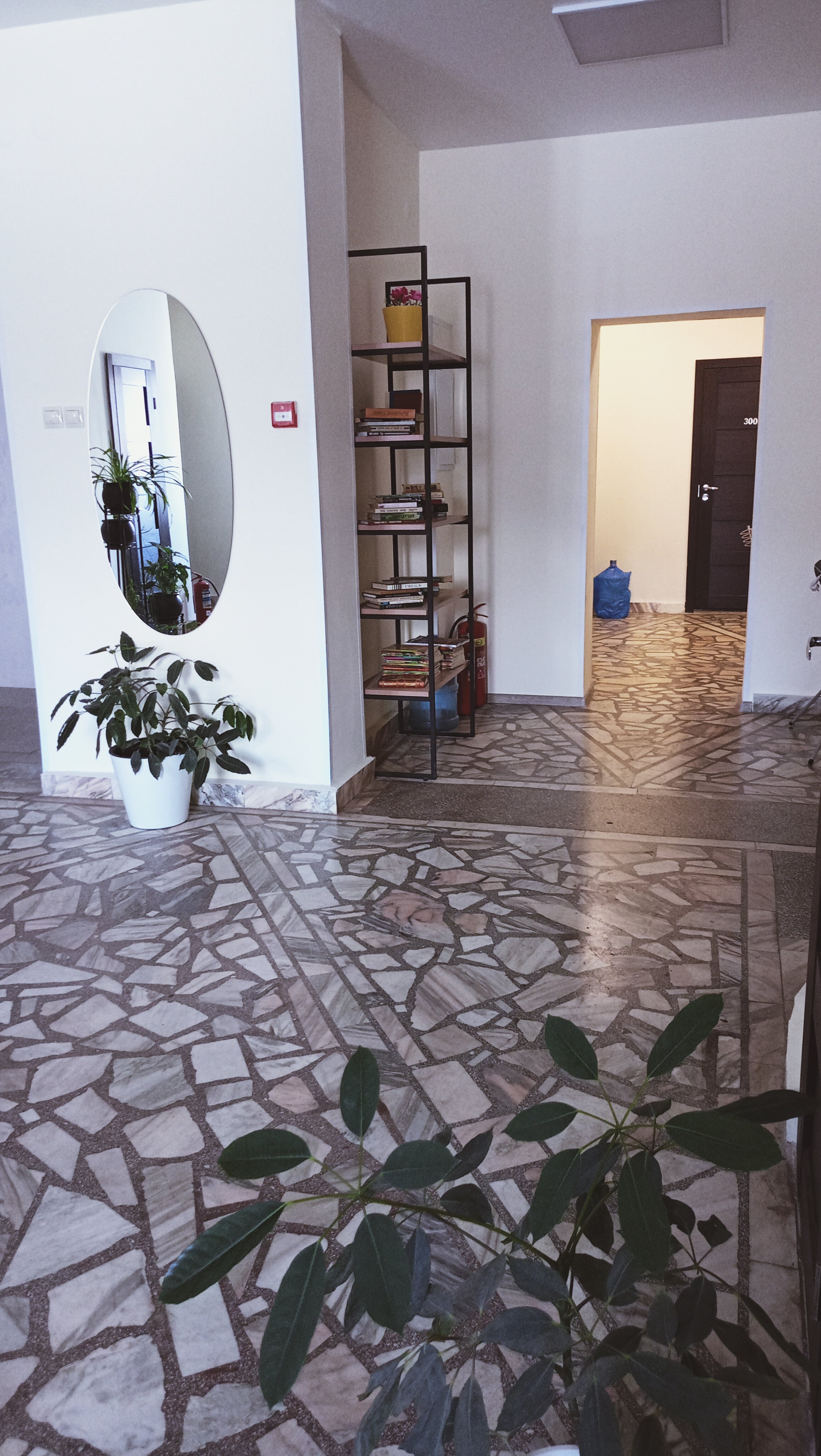 Фото Звездочка