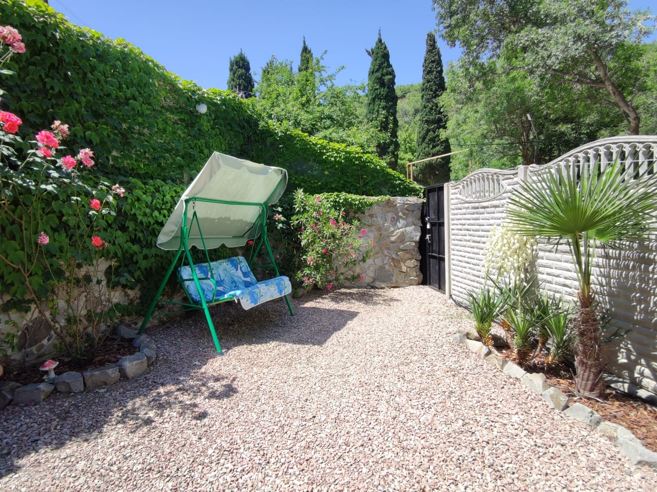 Фото Феерия